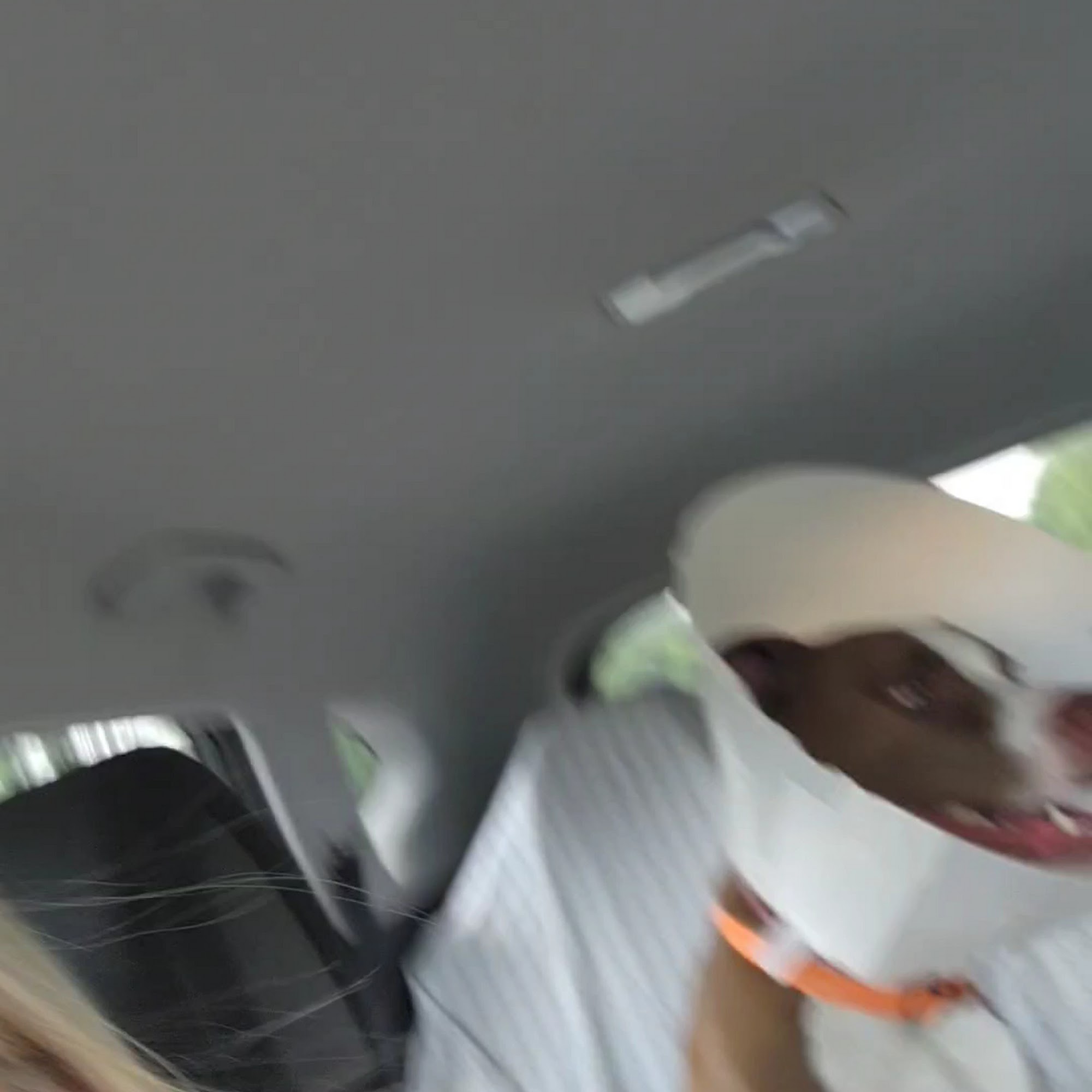 Wooster Animal Clinic Wooster