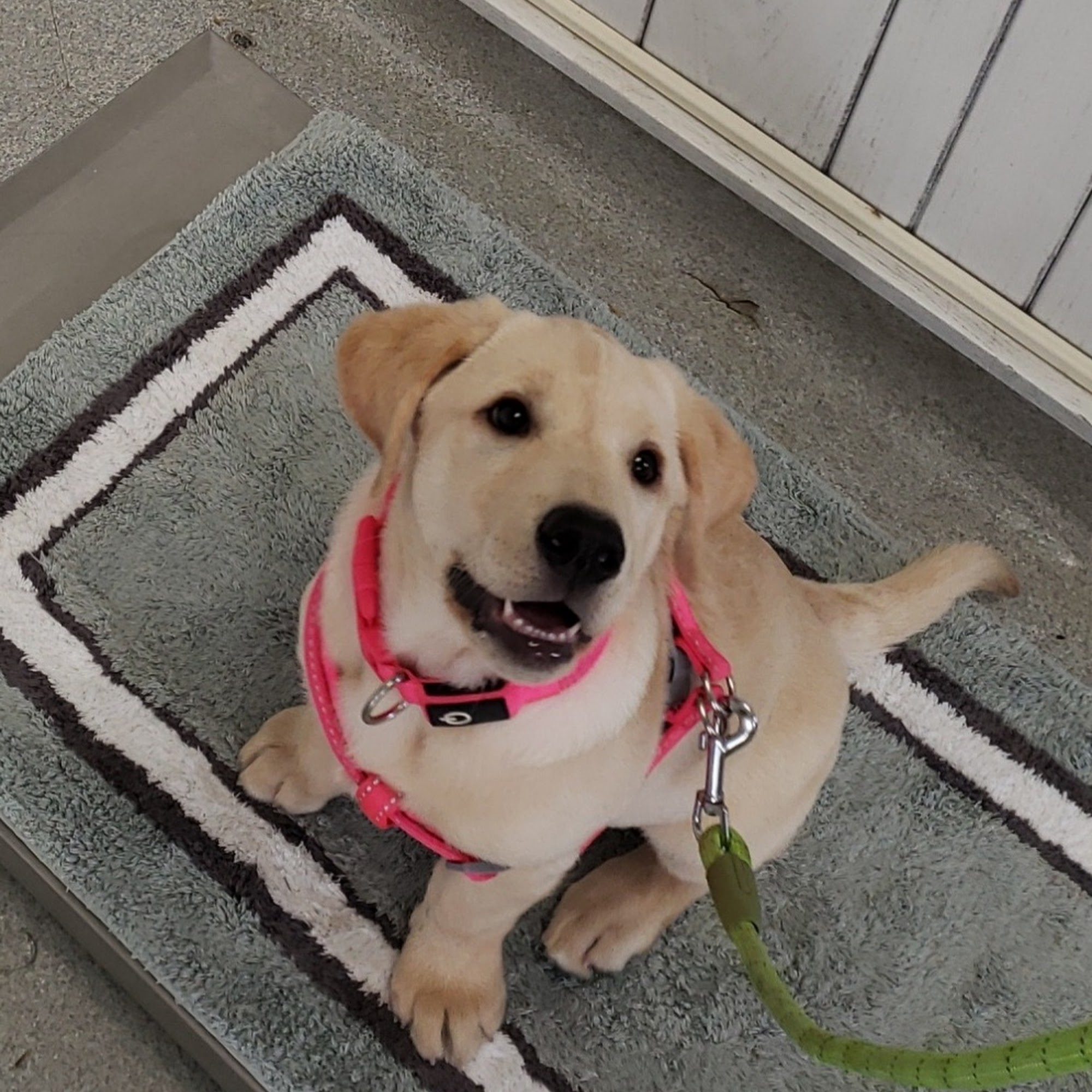 New Pittsburg Large Animal Clinic Wooster