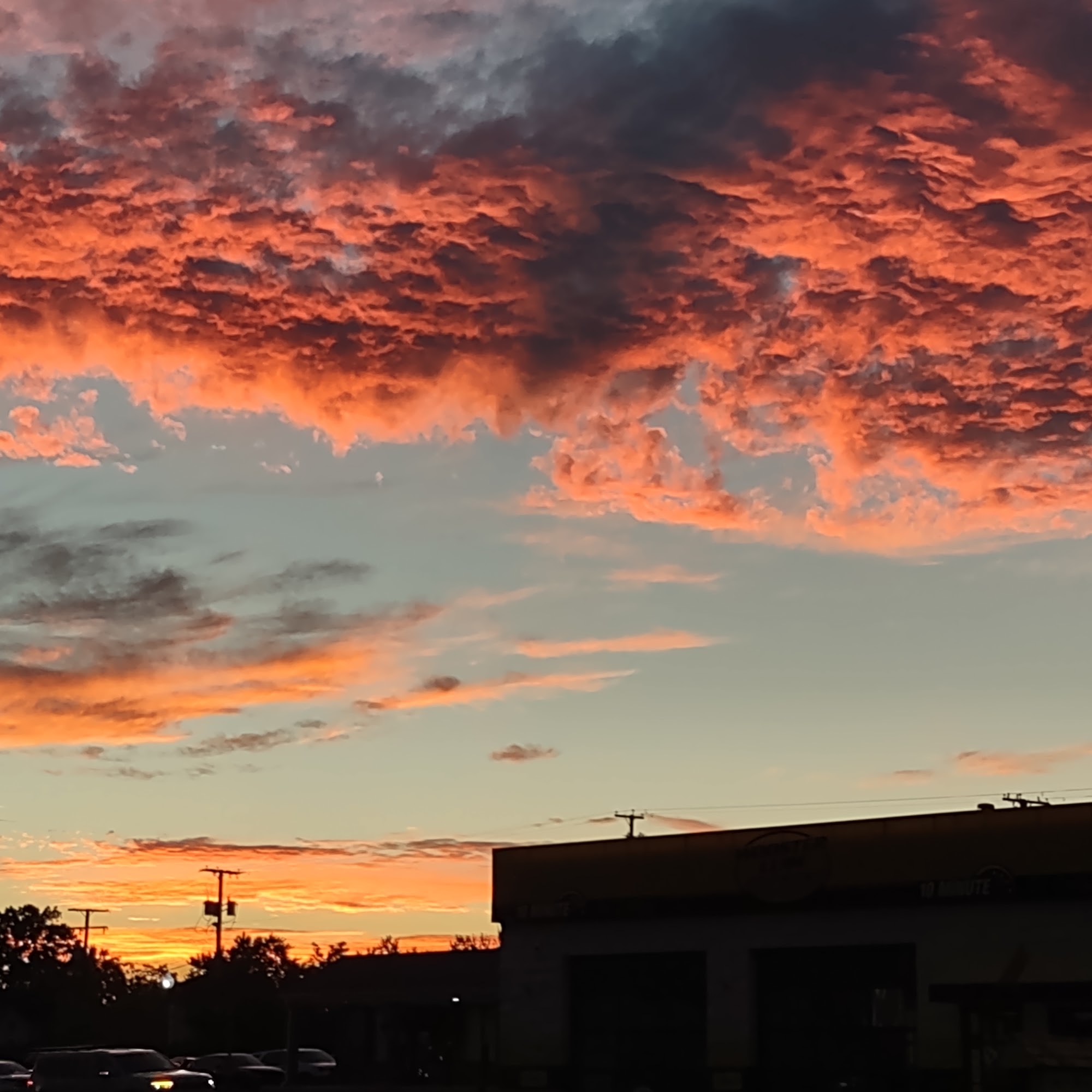 Diver's Axis Wooster