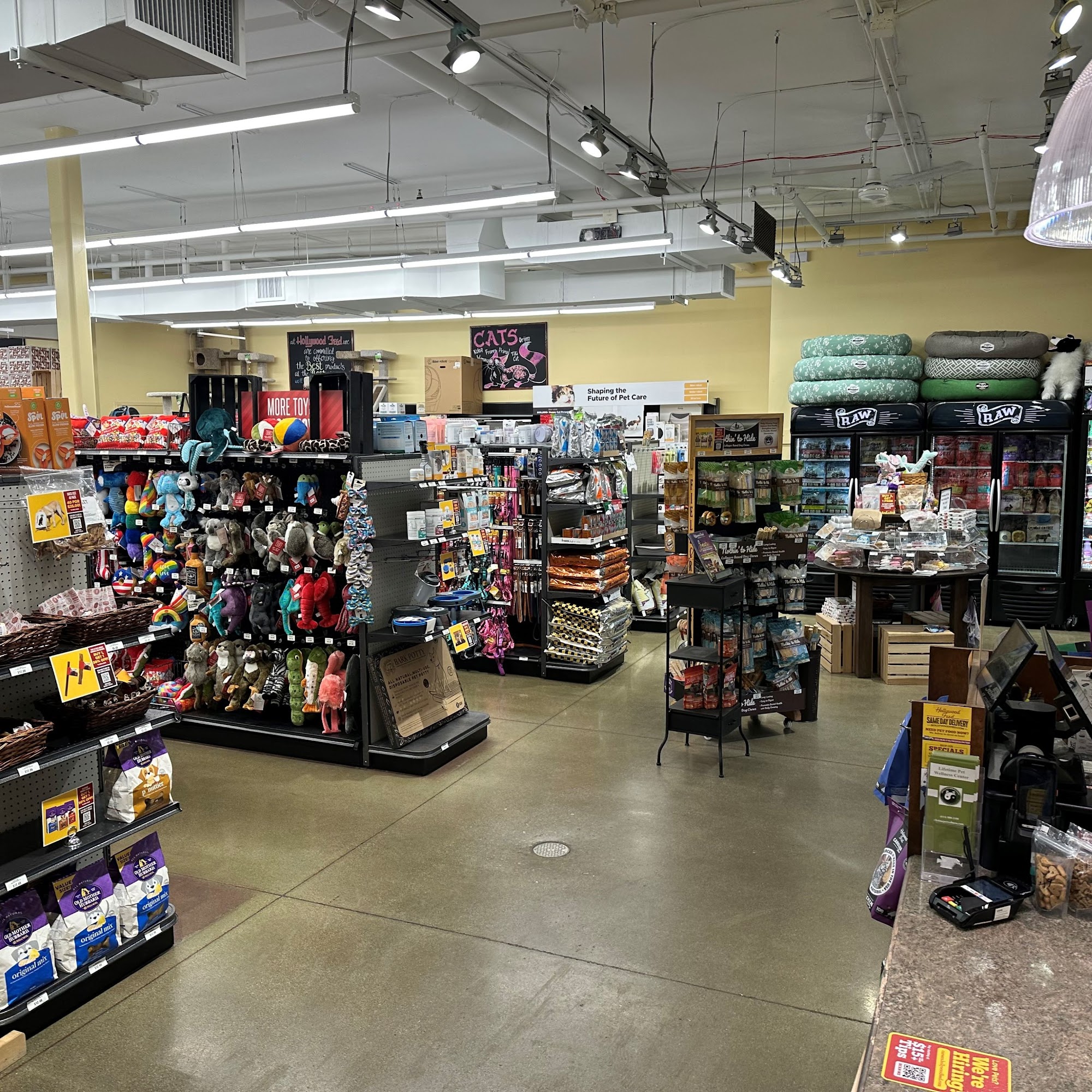 Hollywood Feed Worthington