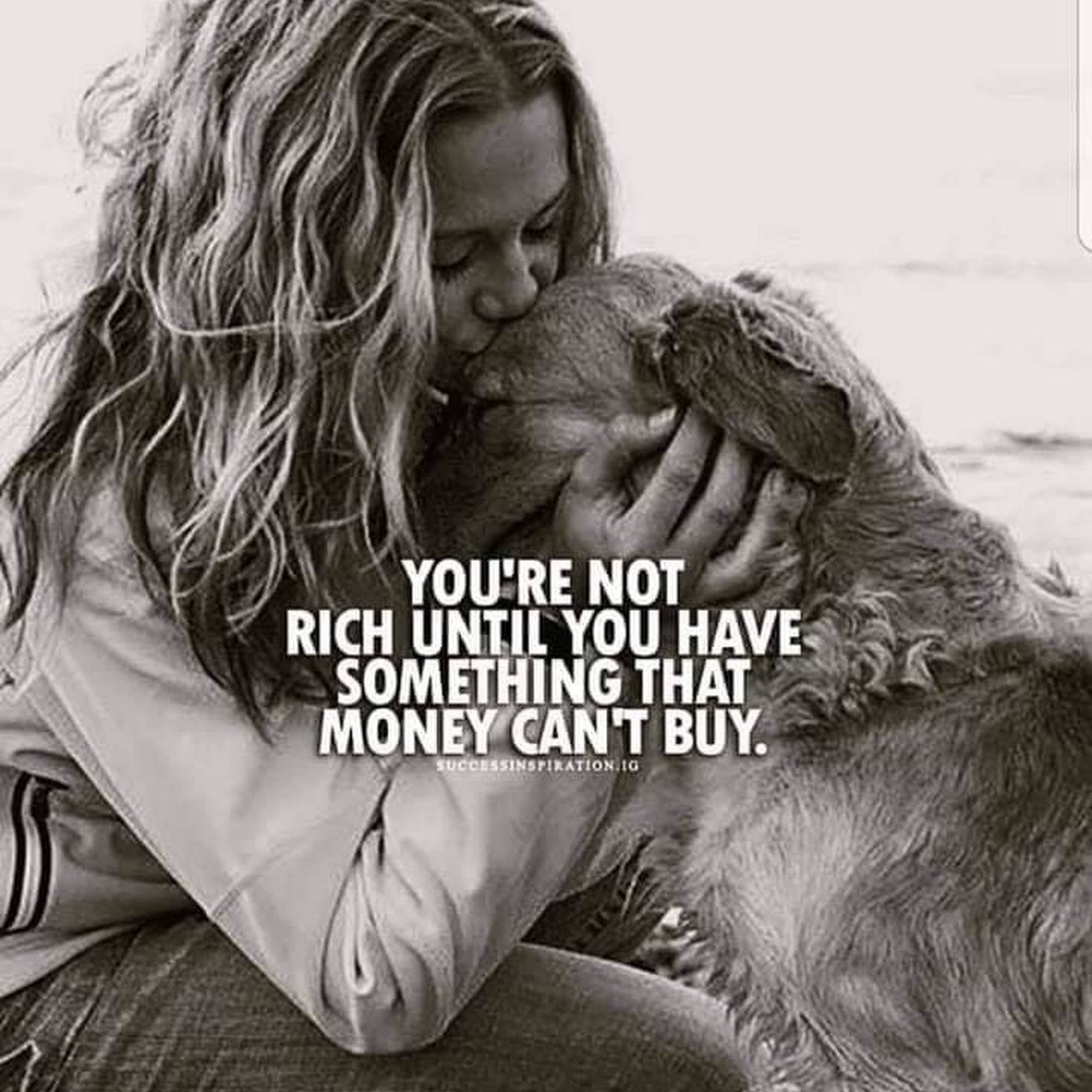 Preppy Pet Worthington