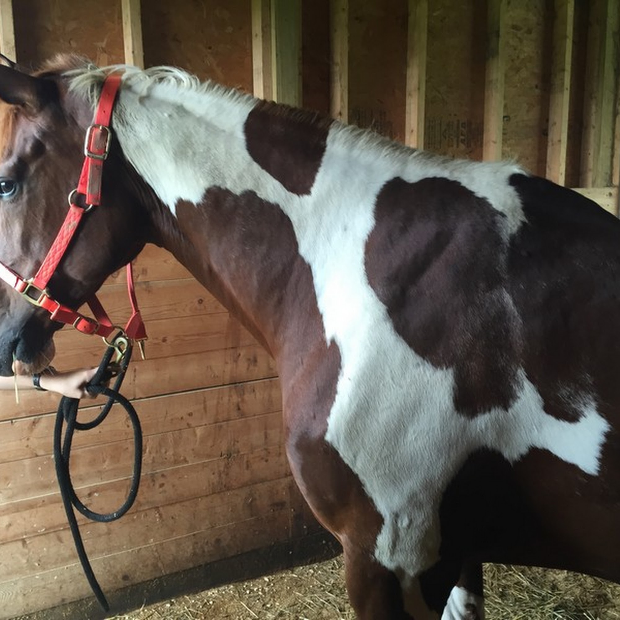 Veterinary Associates Animal Hospital Xenia