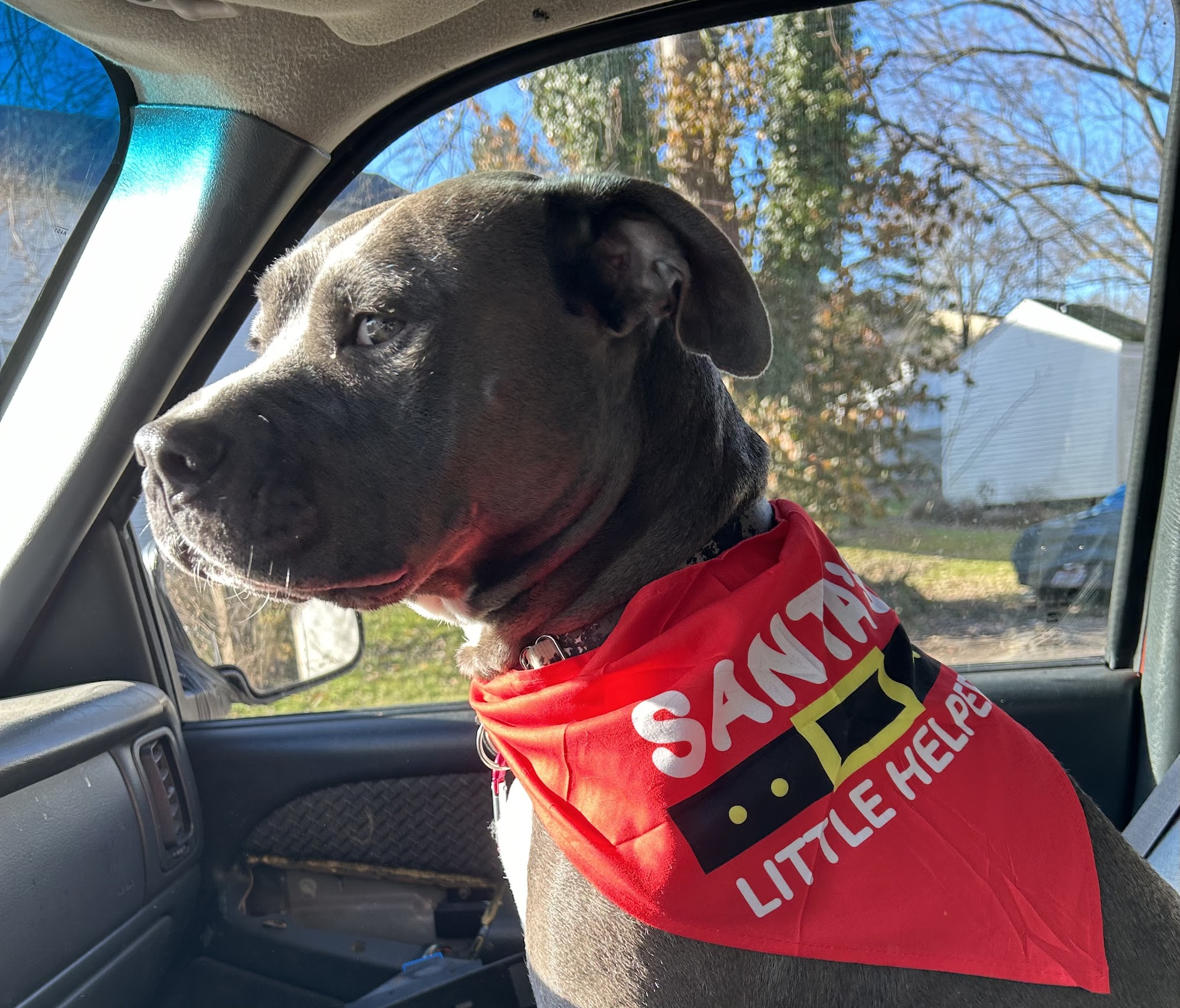 Animal Charity Humane Society Youngstown