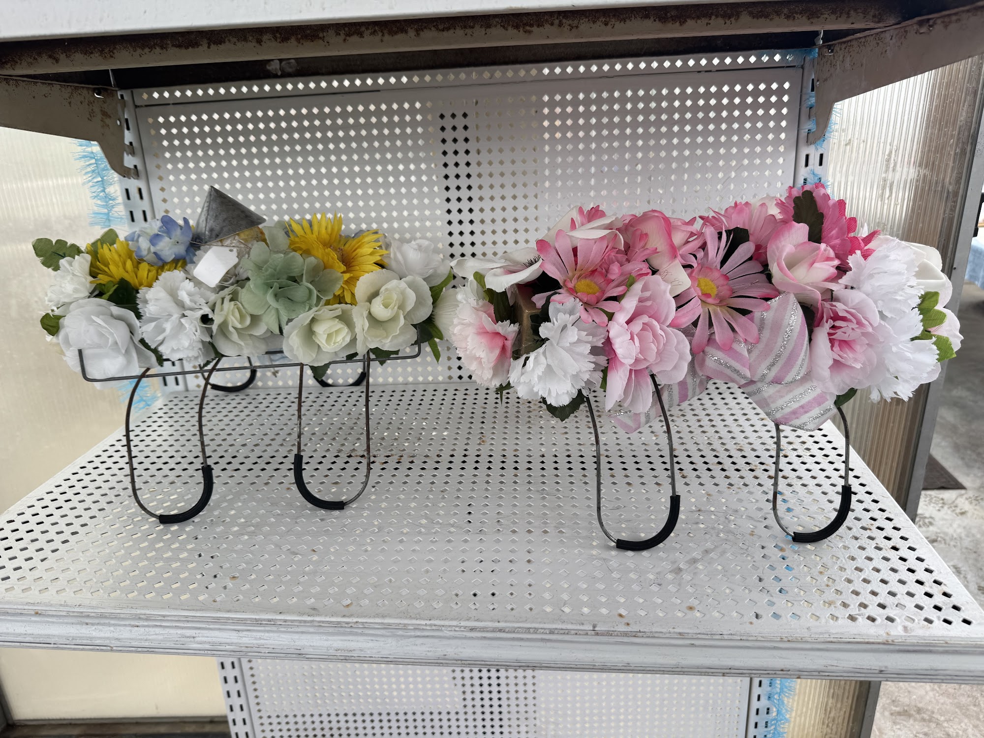 Carano's Services & Garden Center