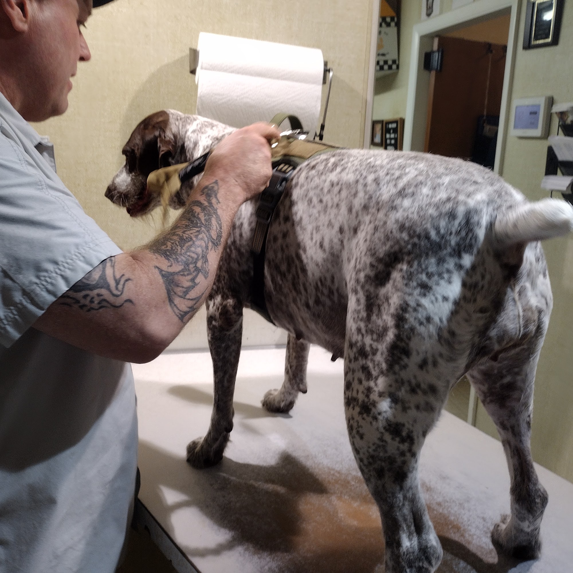 Maysville Animal Hospital Zanesville