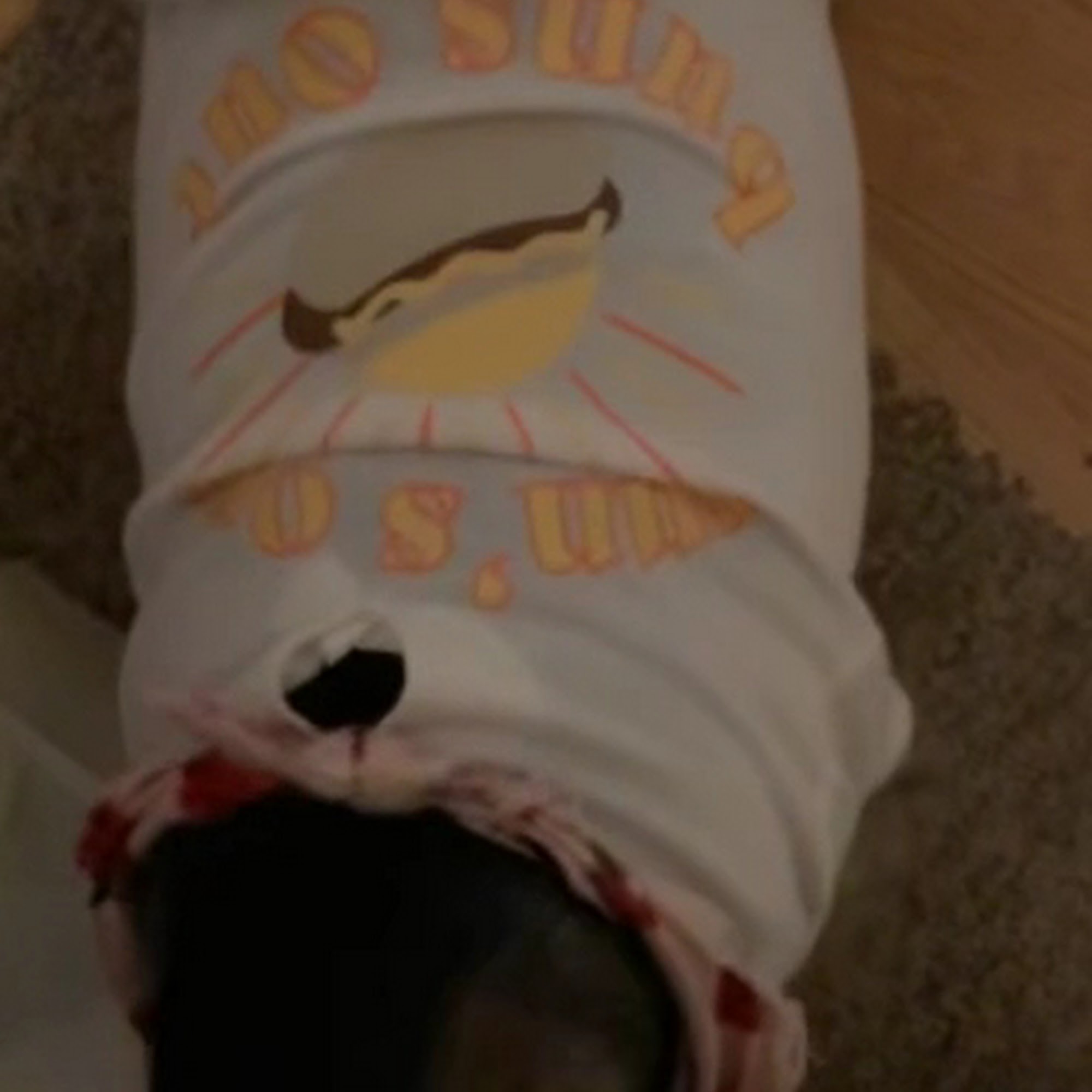 Arlington Animal Clinic Ada