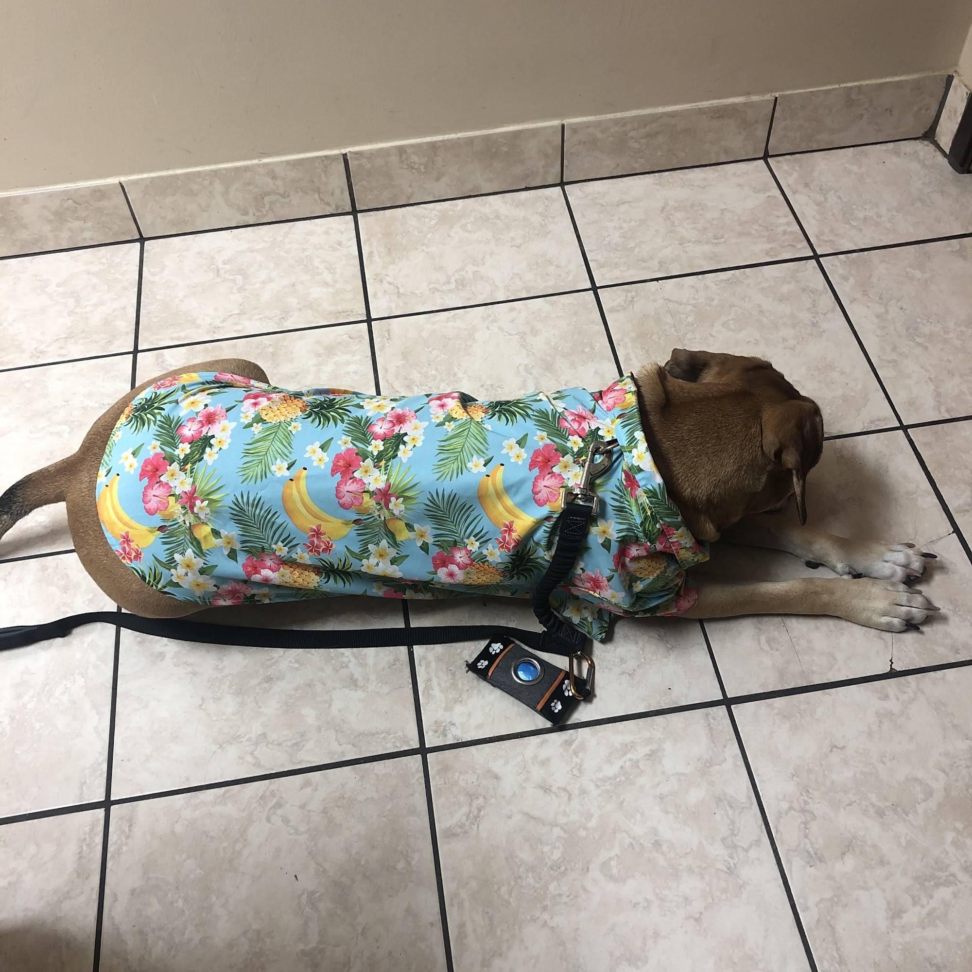 Western Prairie Veterinary Hospital Altus