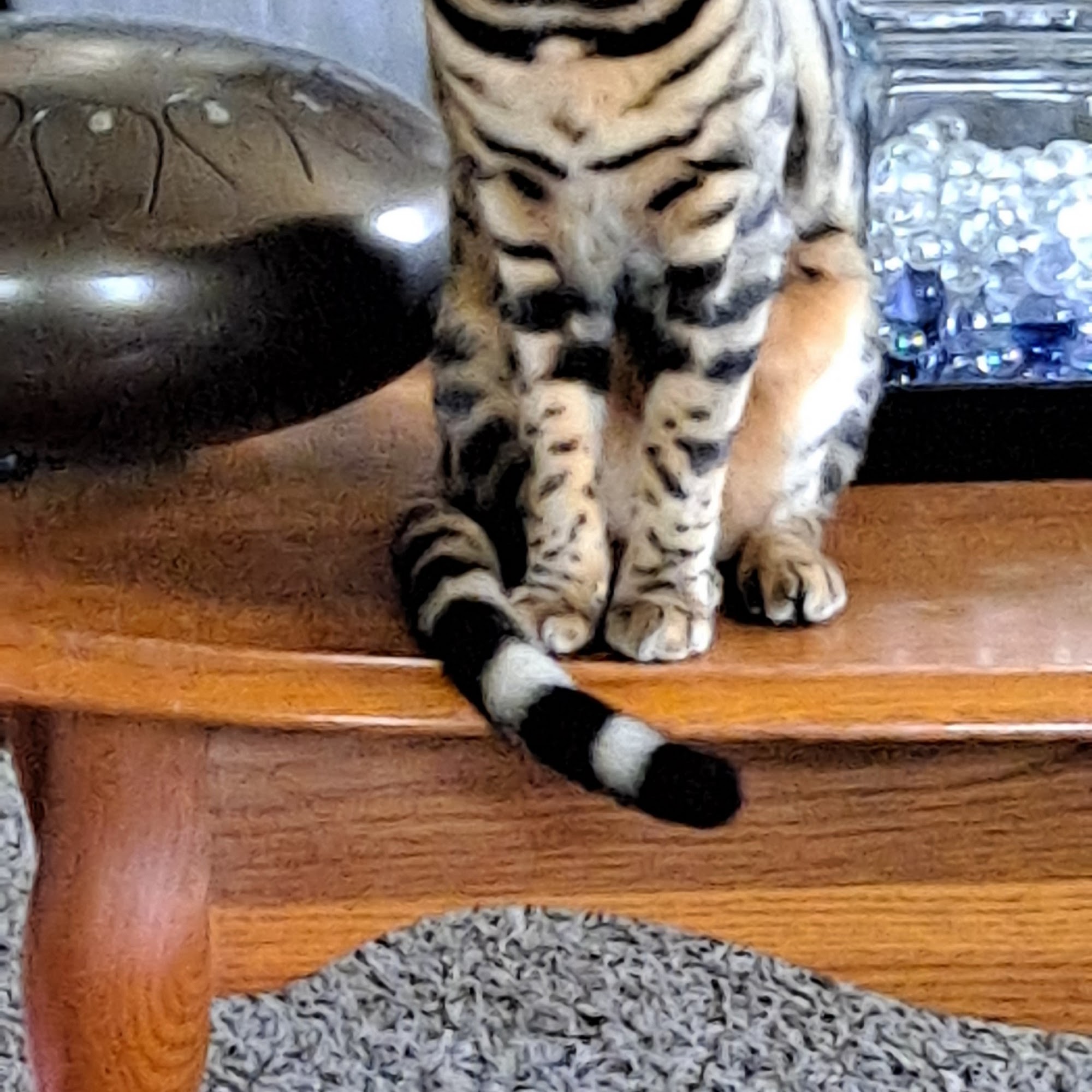 Bartlesville Animal Hospital & Boarding Kennel Bartlesville