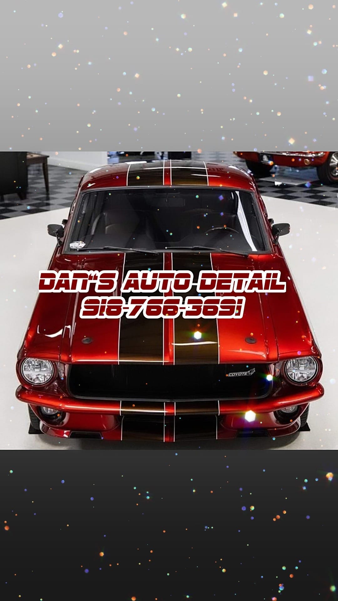 Dans auto detail