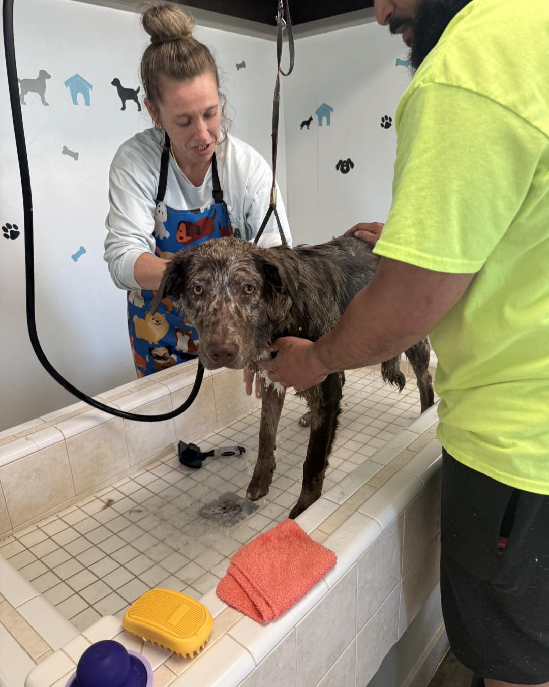 Wash-A-Mutt Self-Service Pet Wash - OPEN BY APPMT ONLY! Bartlesville