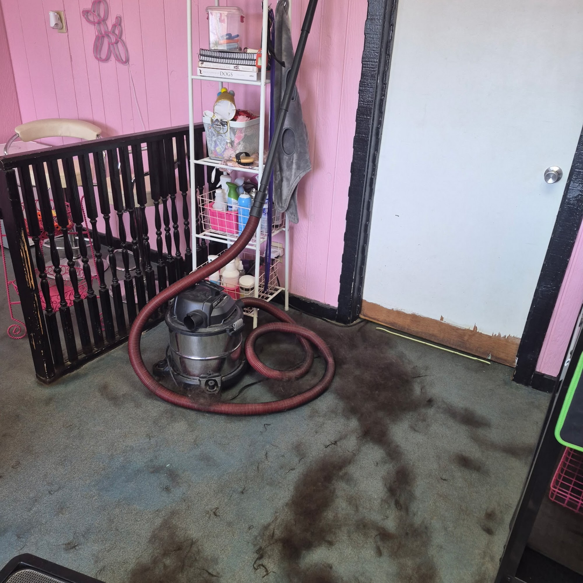 Pawz Dog Grooming 2245 SE Washington Blvd # C, Bartlesville Oklahoma 74006