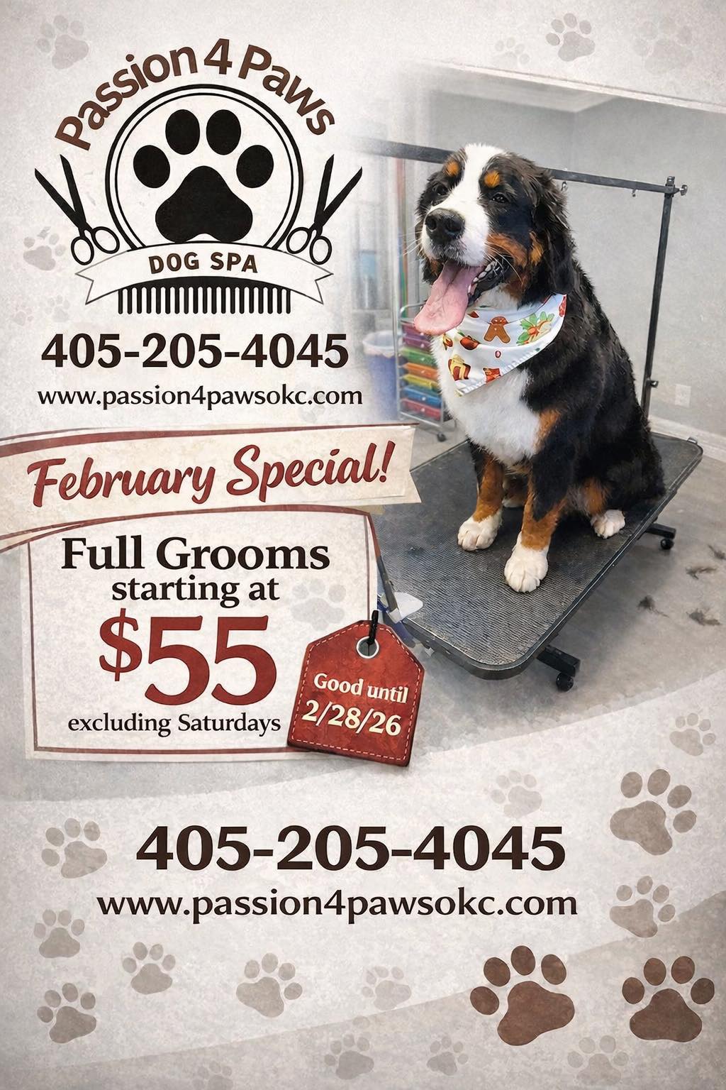 Passion 4 Paws Dog Spa Bethany