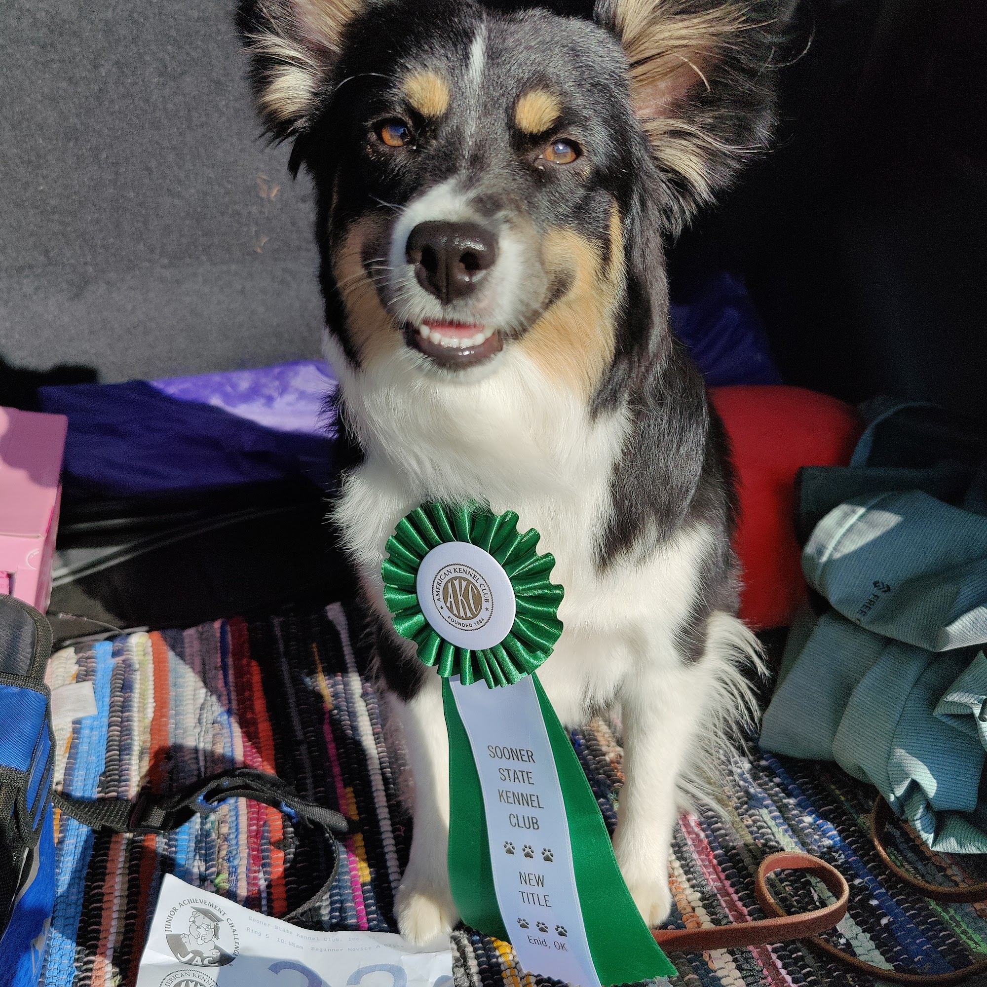 Oklahoma City Obedience Training Club Bethany