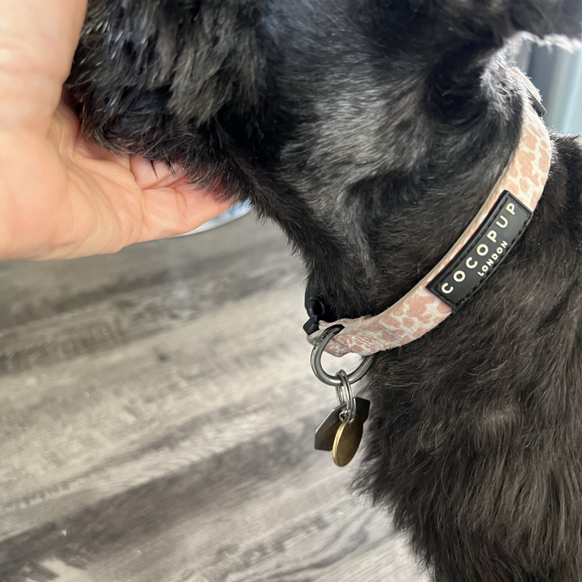 Sloppy Dog Wash Broken Arrow