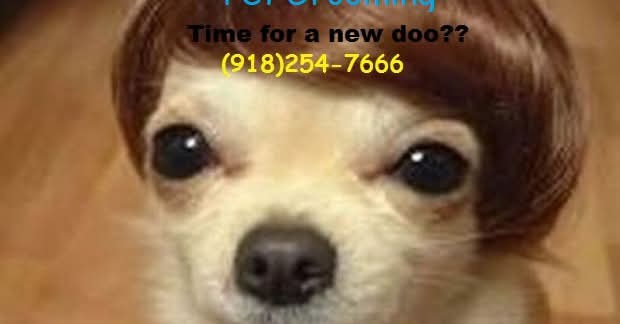 Cindy's Phancy Phydeaux Broken Arrow