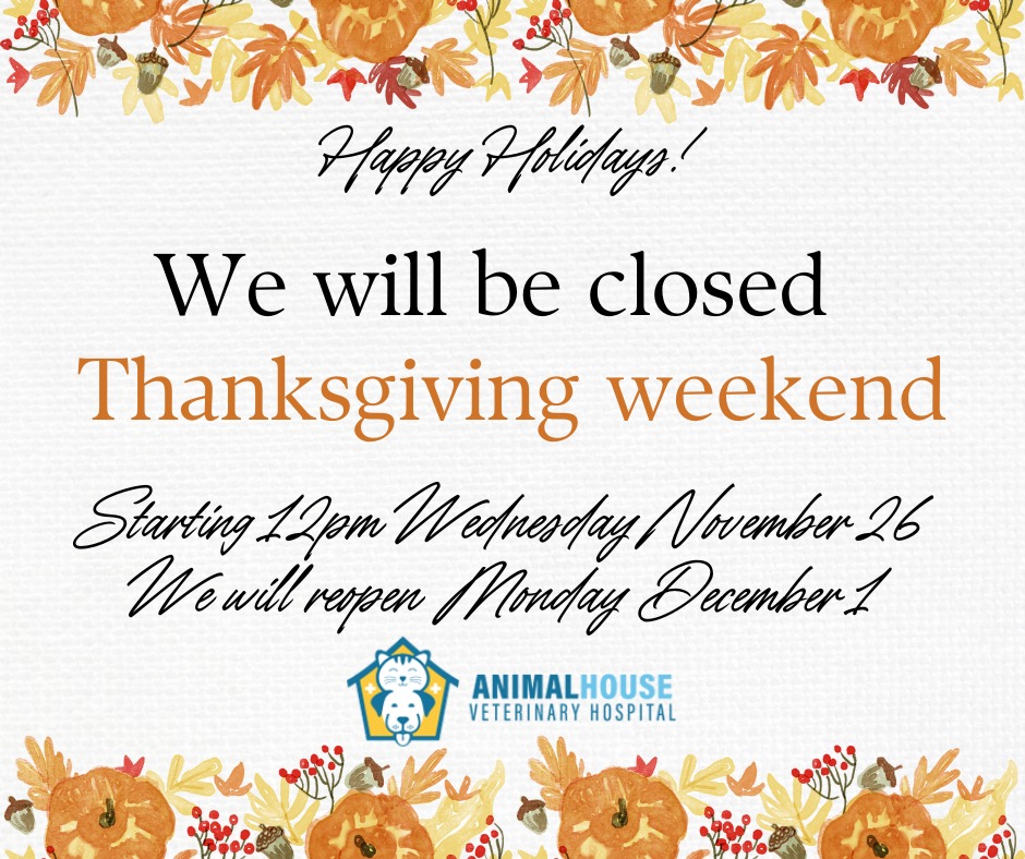 Animal House Veterinary Hospital Broken Arrow