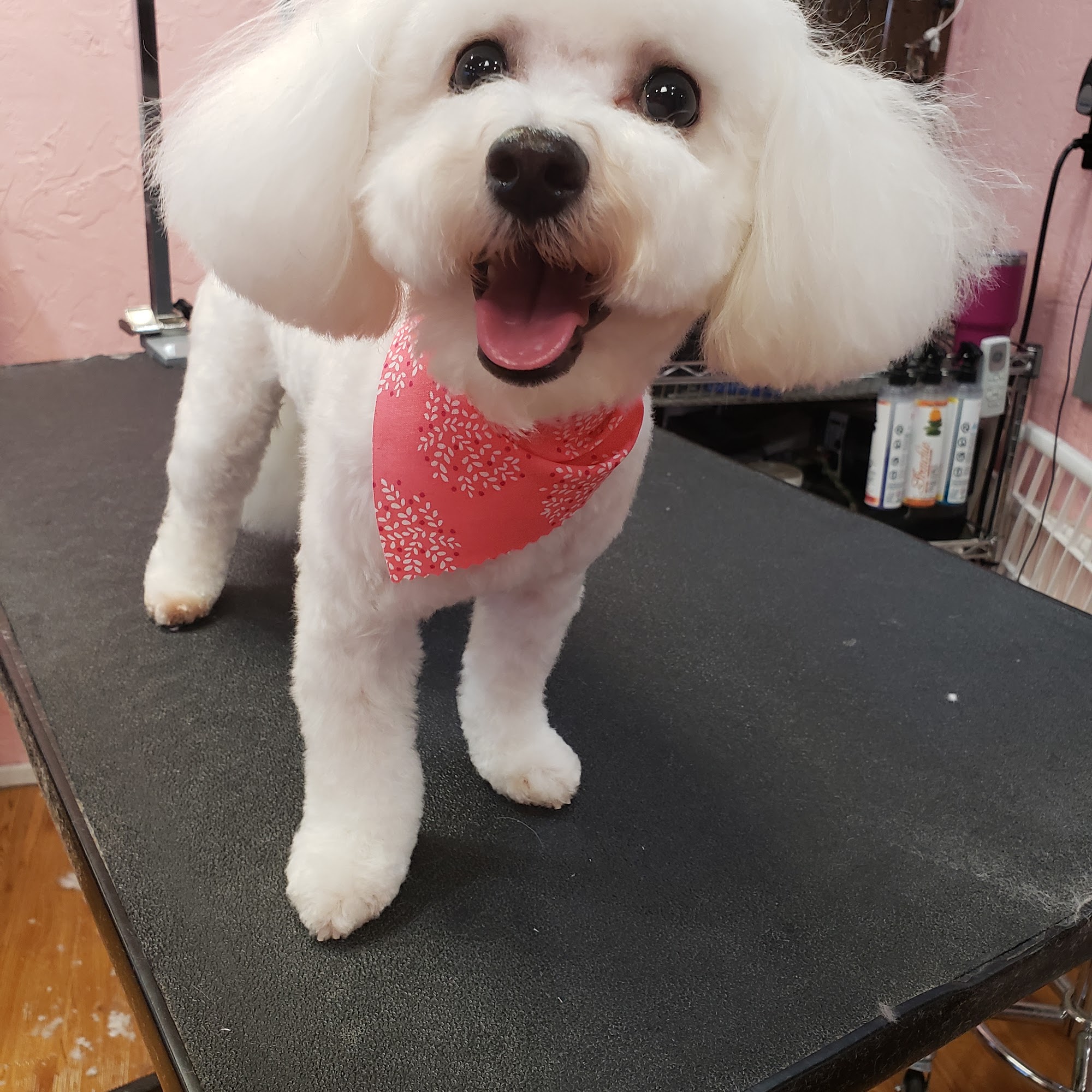 The Rustic Pup Broken Arrow