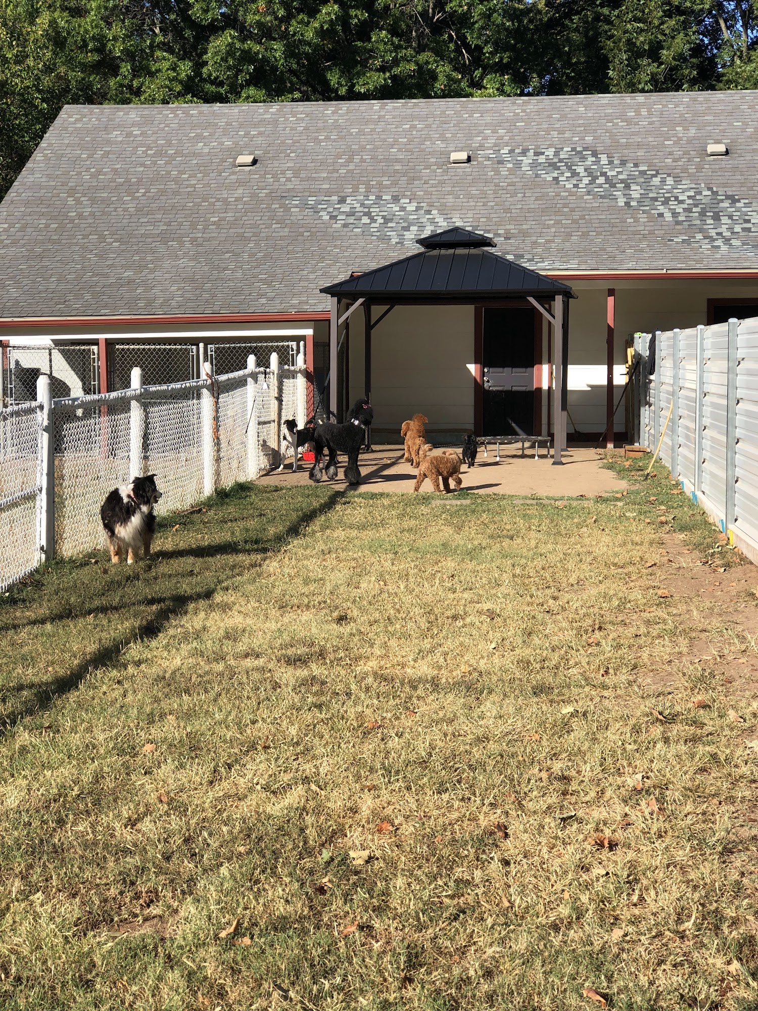 MeritDog Training & Services Broken Arrow