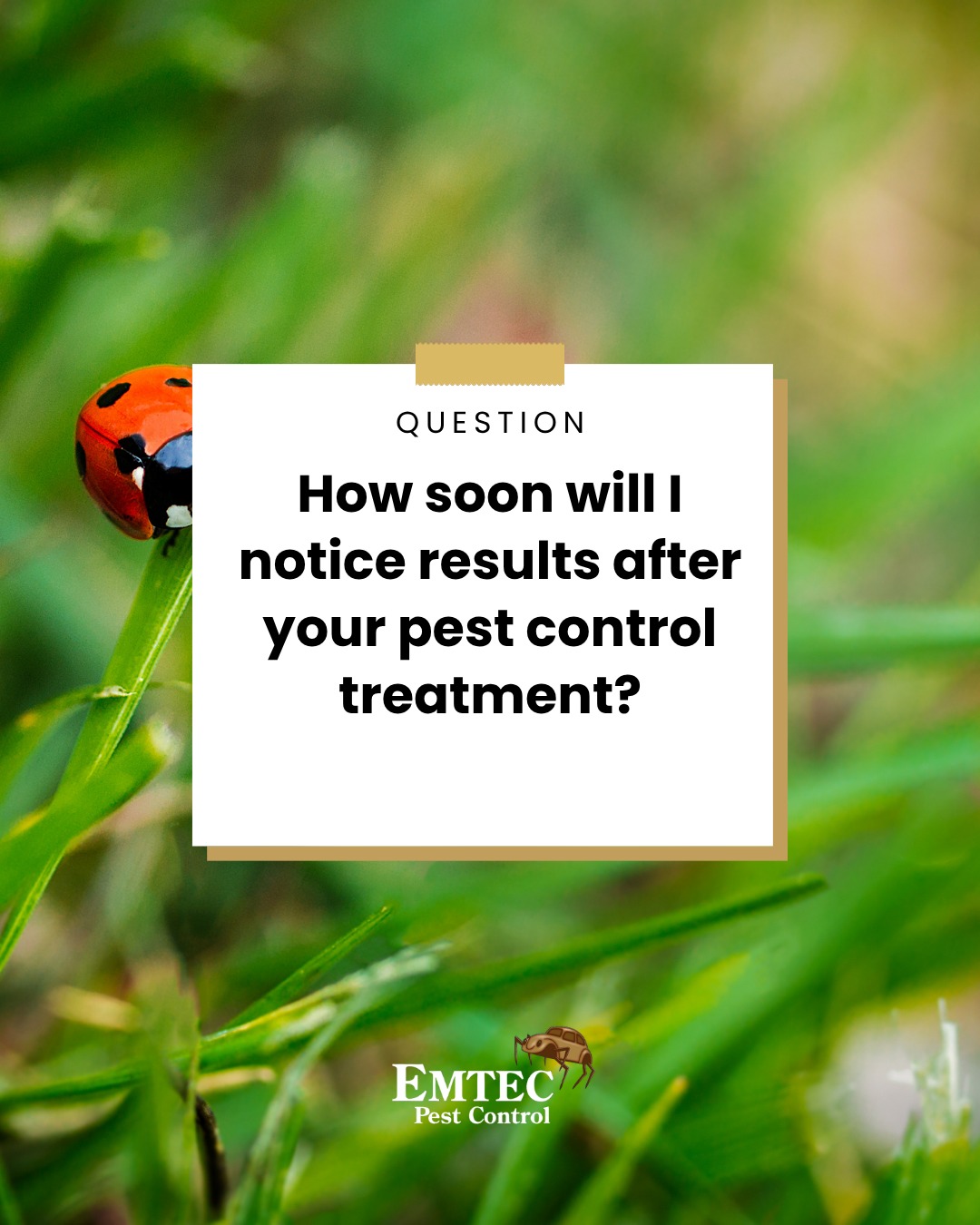 Emtec Pest Control