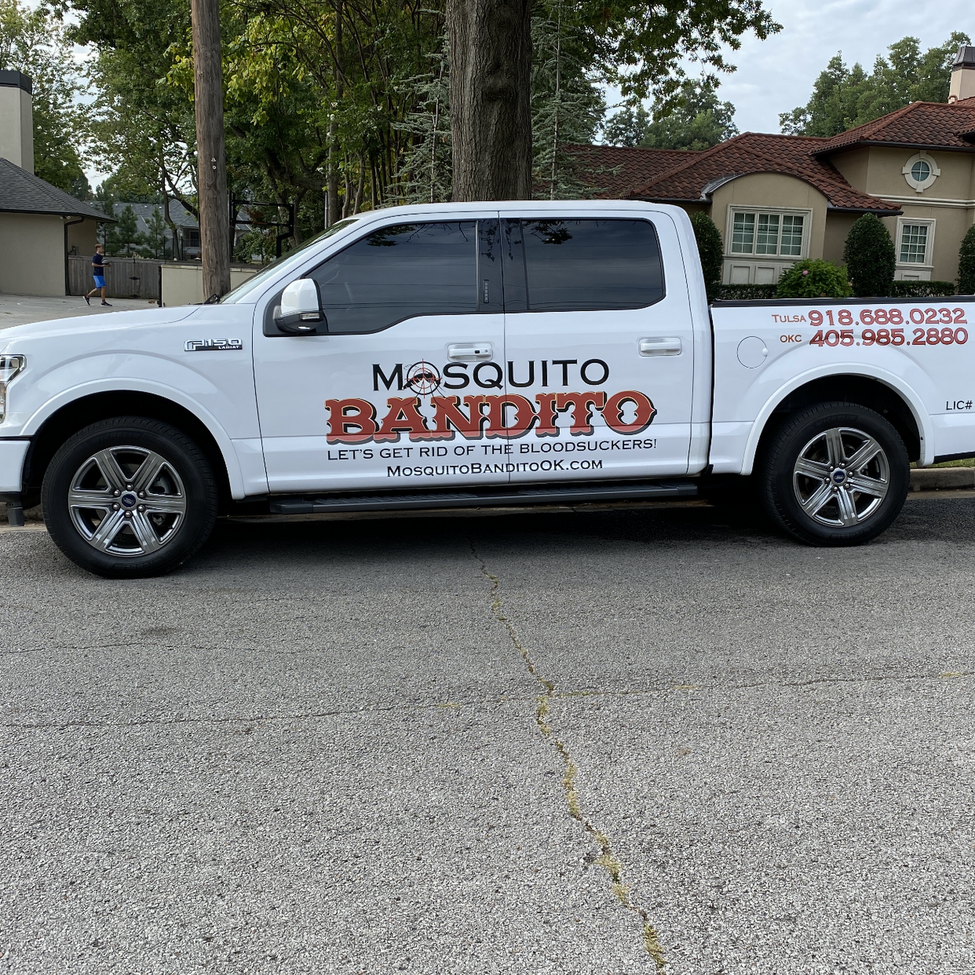 Mosquito Bandito