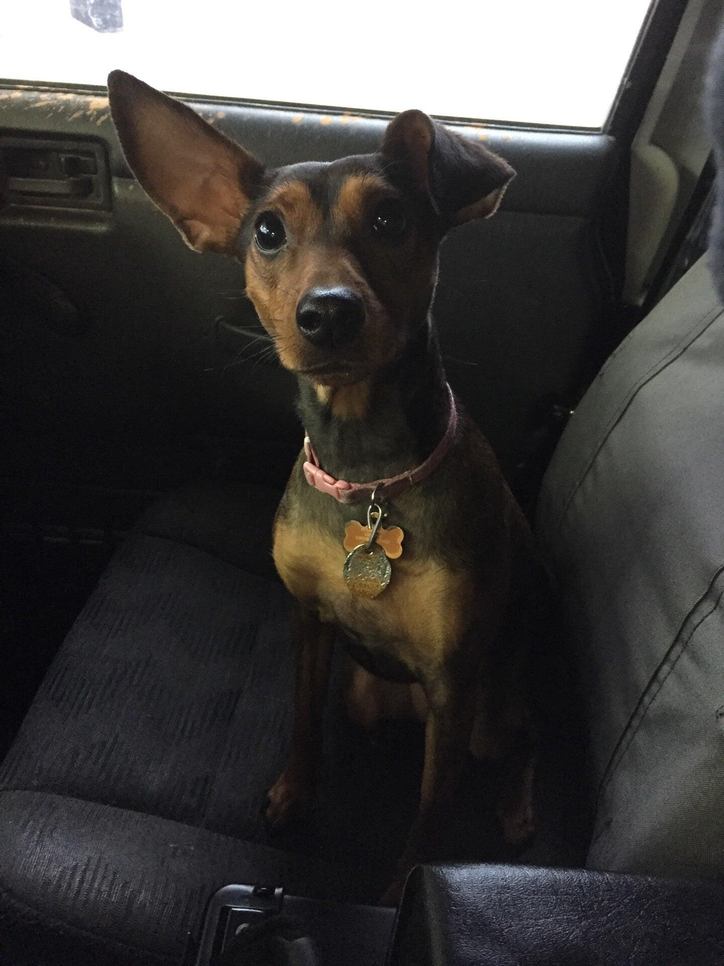 Photo credit: nextdoor