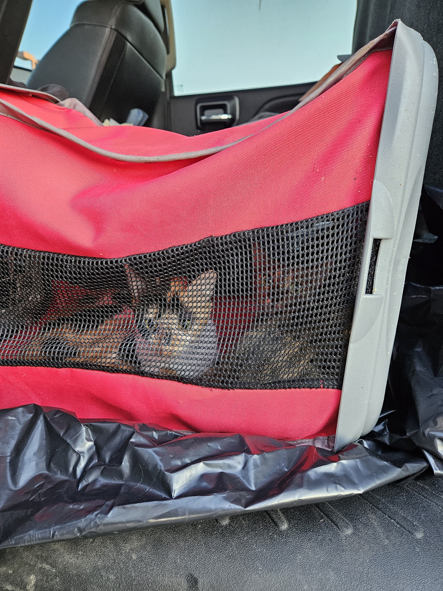 Voss Veterinary Clinic Checotah