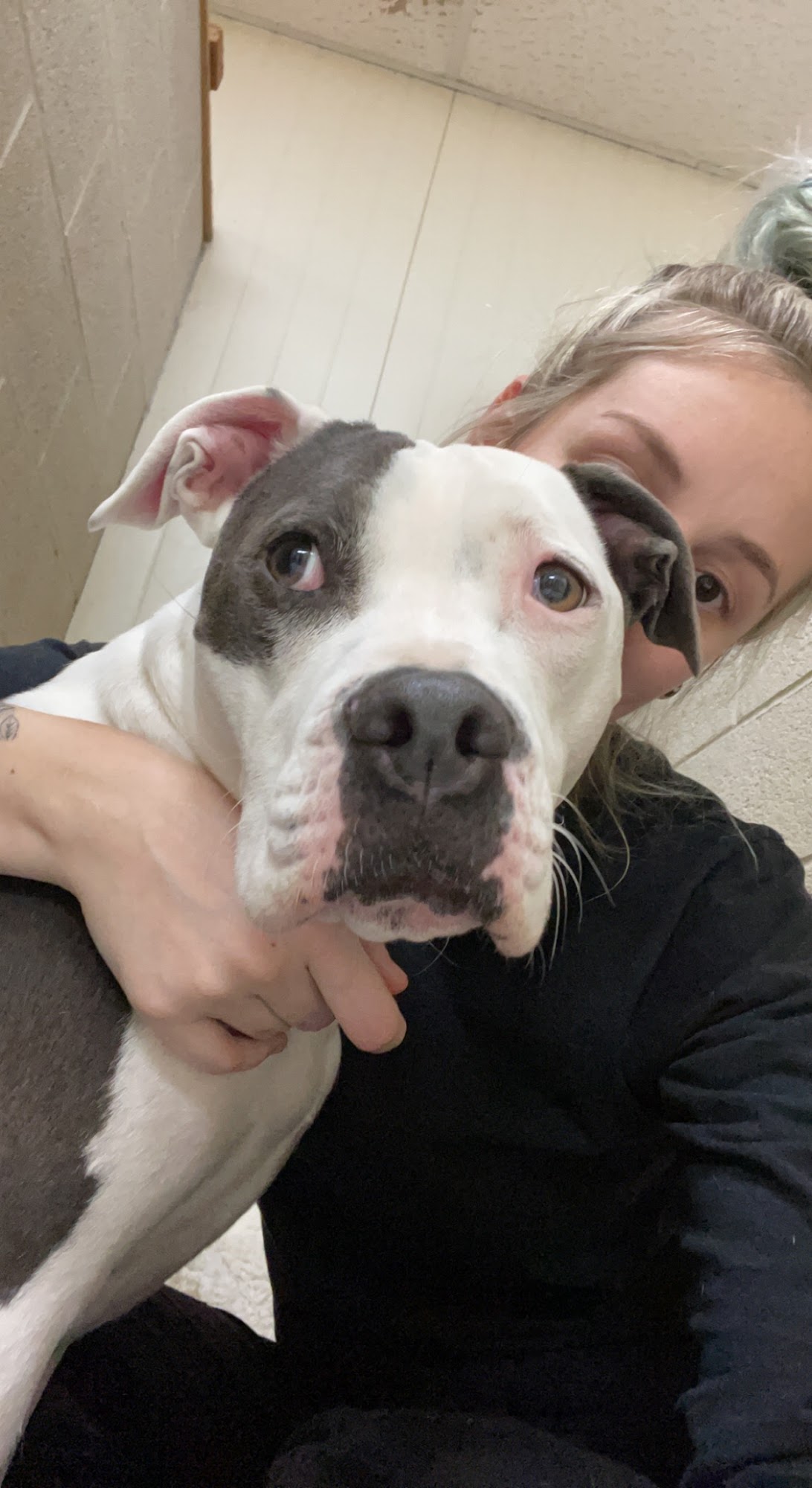 Pet Medical Center Chickasha