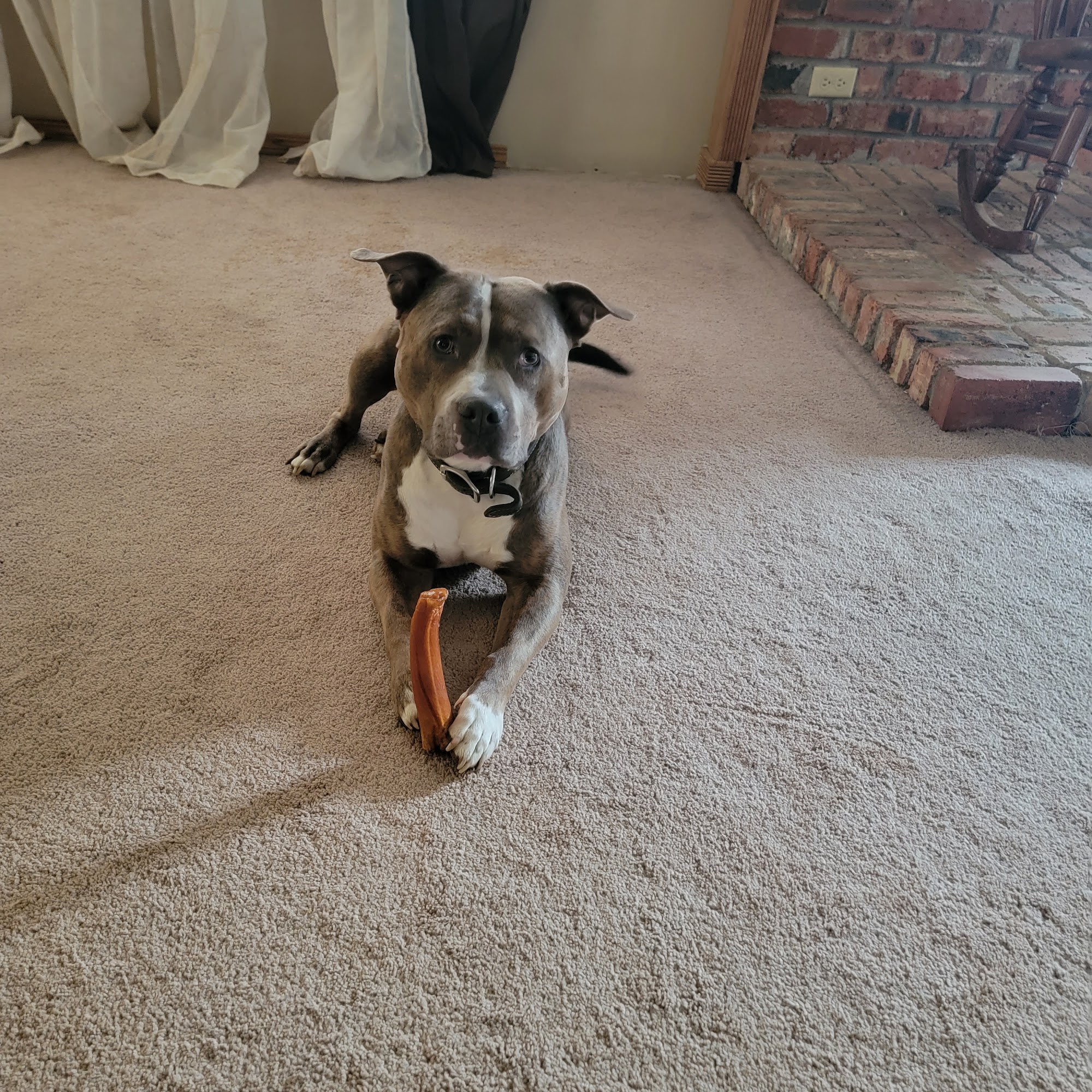 Washita Veterinary Hospital Chickasha