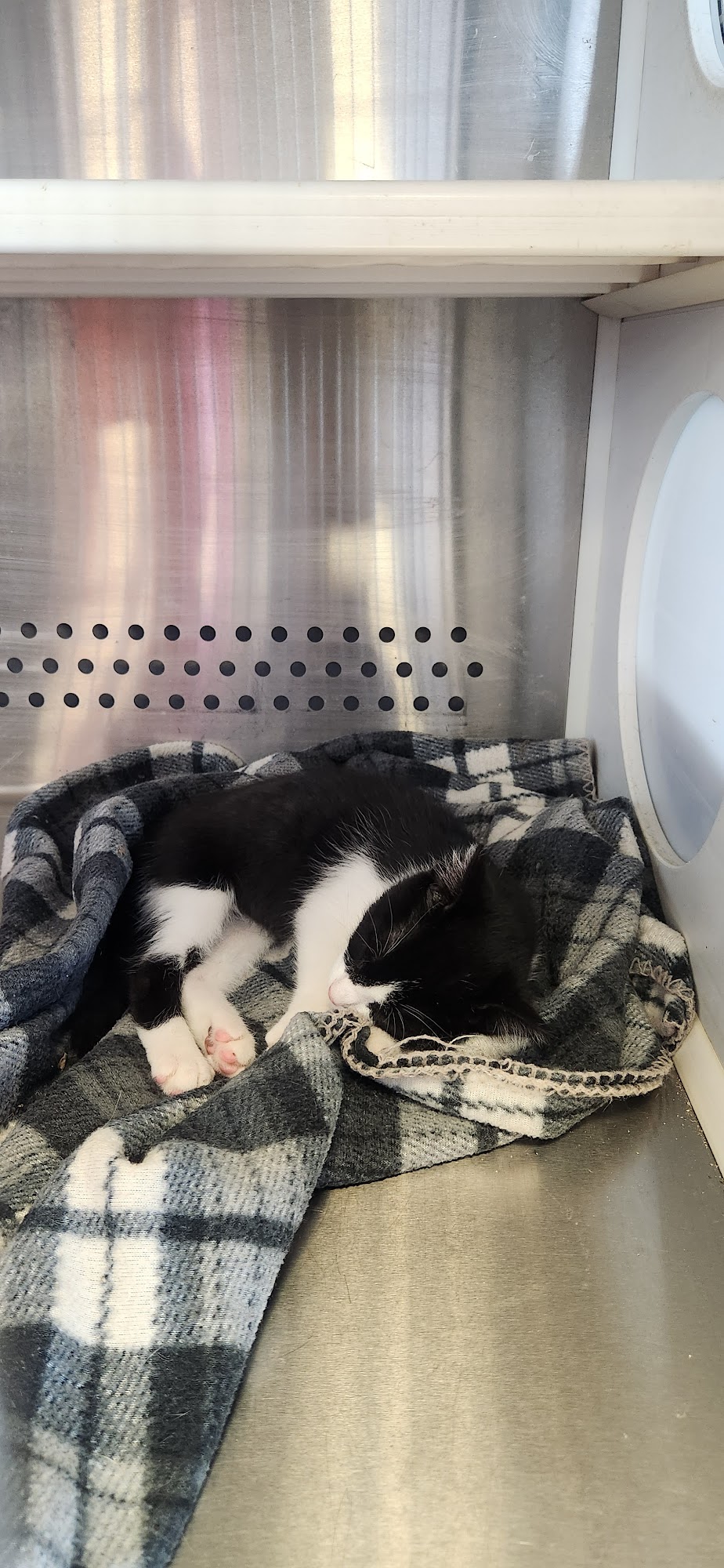 Petsense by Tractor Supply Chickasha