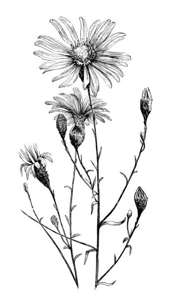 Byte & Associates, LLC