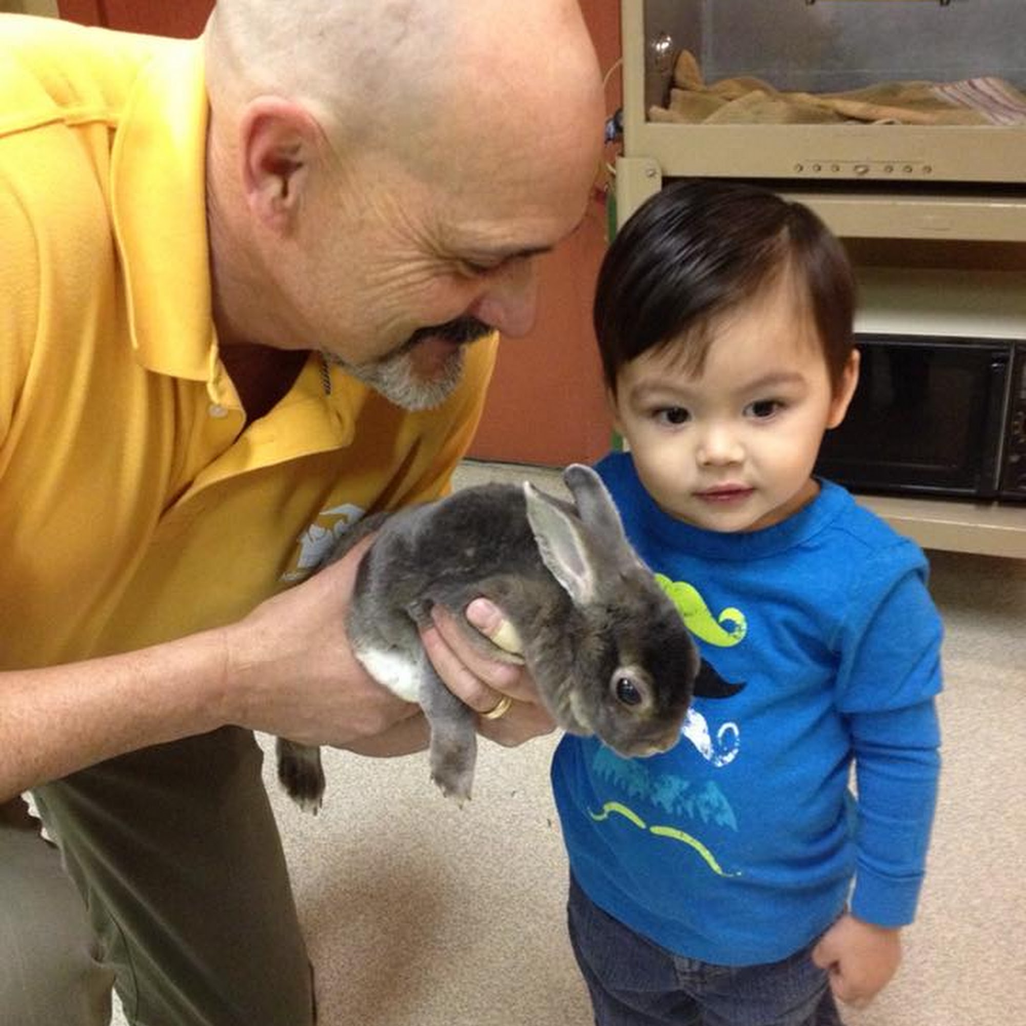 Animal Medical Center Claremore