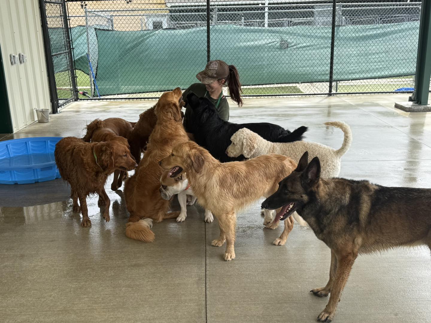 Hilltop Pet Hotel Inc Coweta