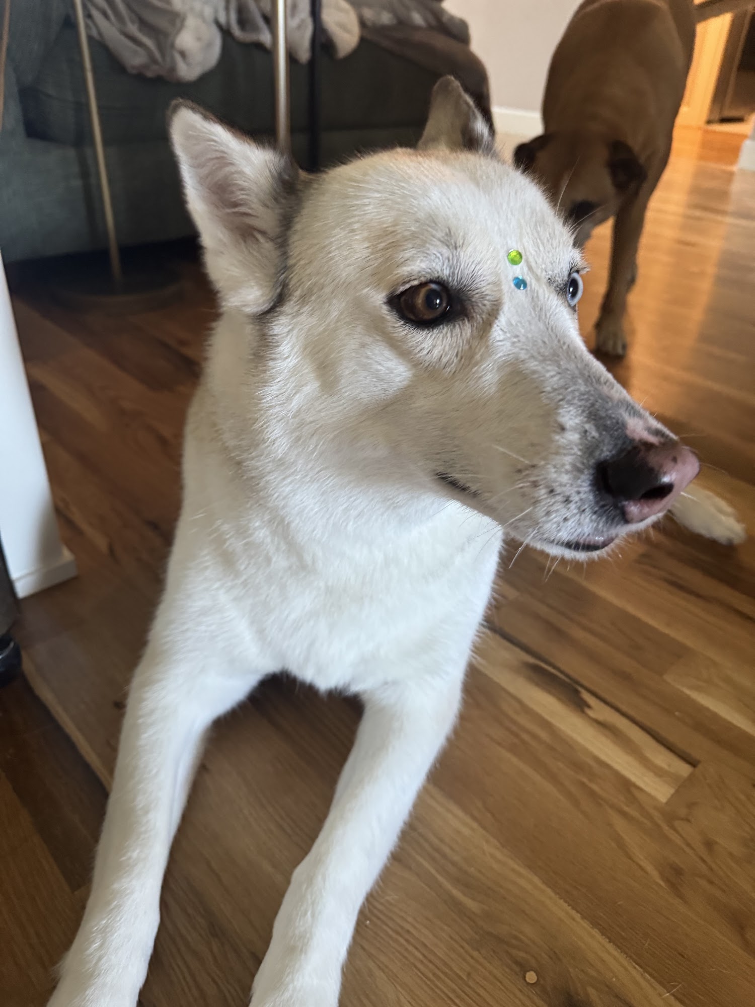 Bubbles & Cuts Coweta