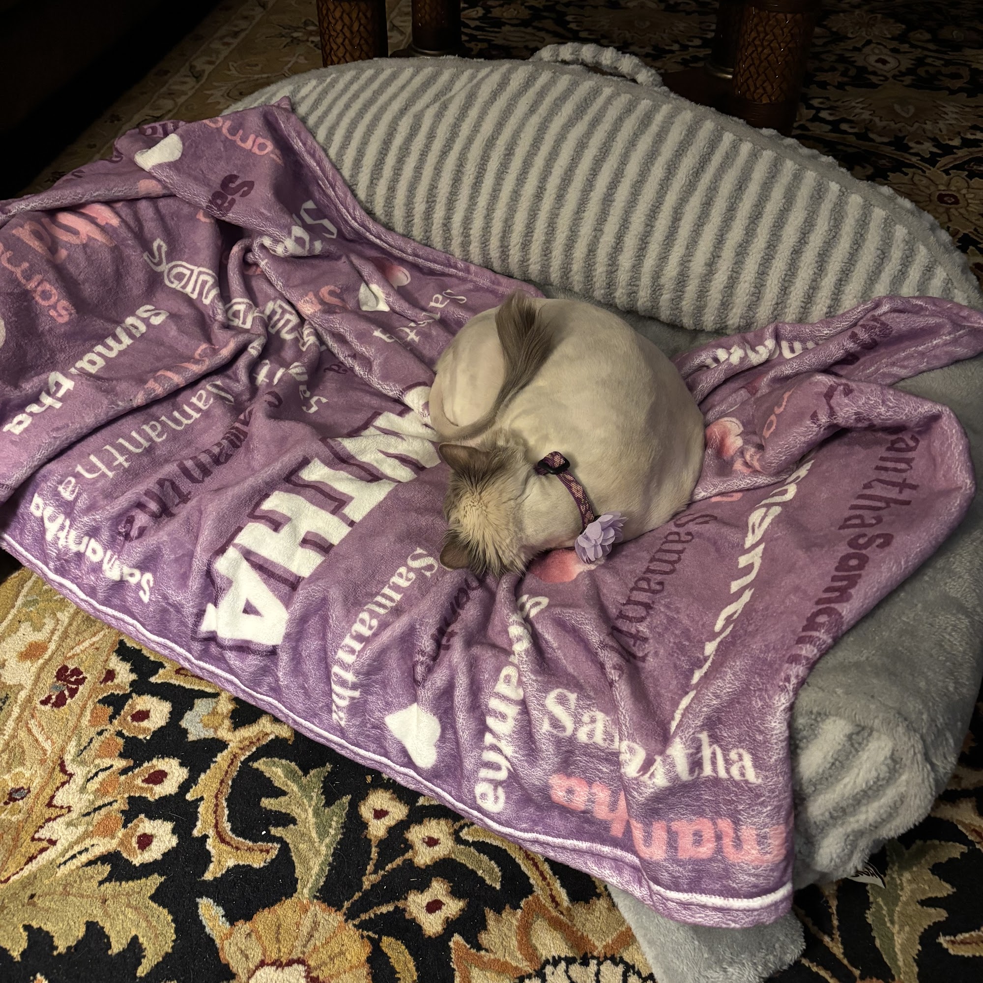 Duncan Veterinary Hospital Duncan