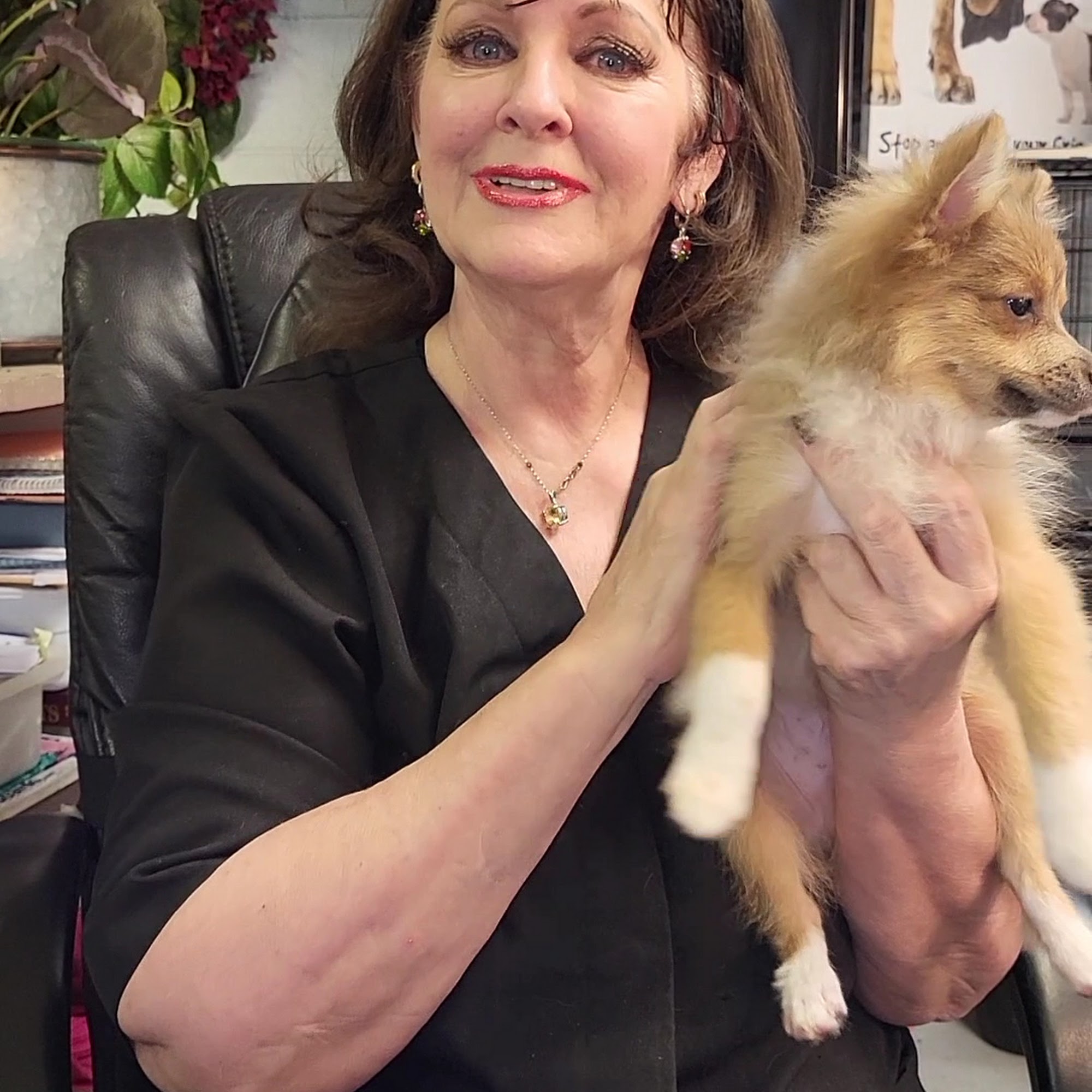 Discount Dog Grooming Duncan