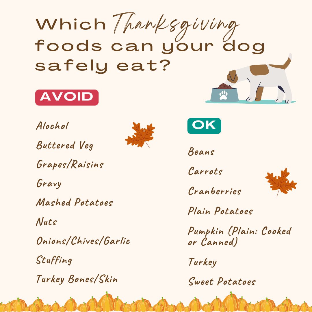 Edmond Pet Resort Edmond