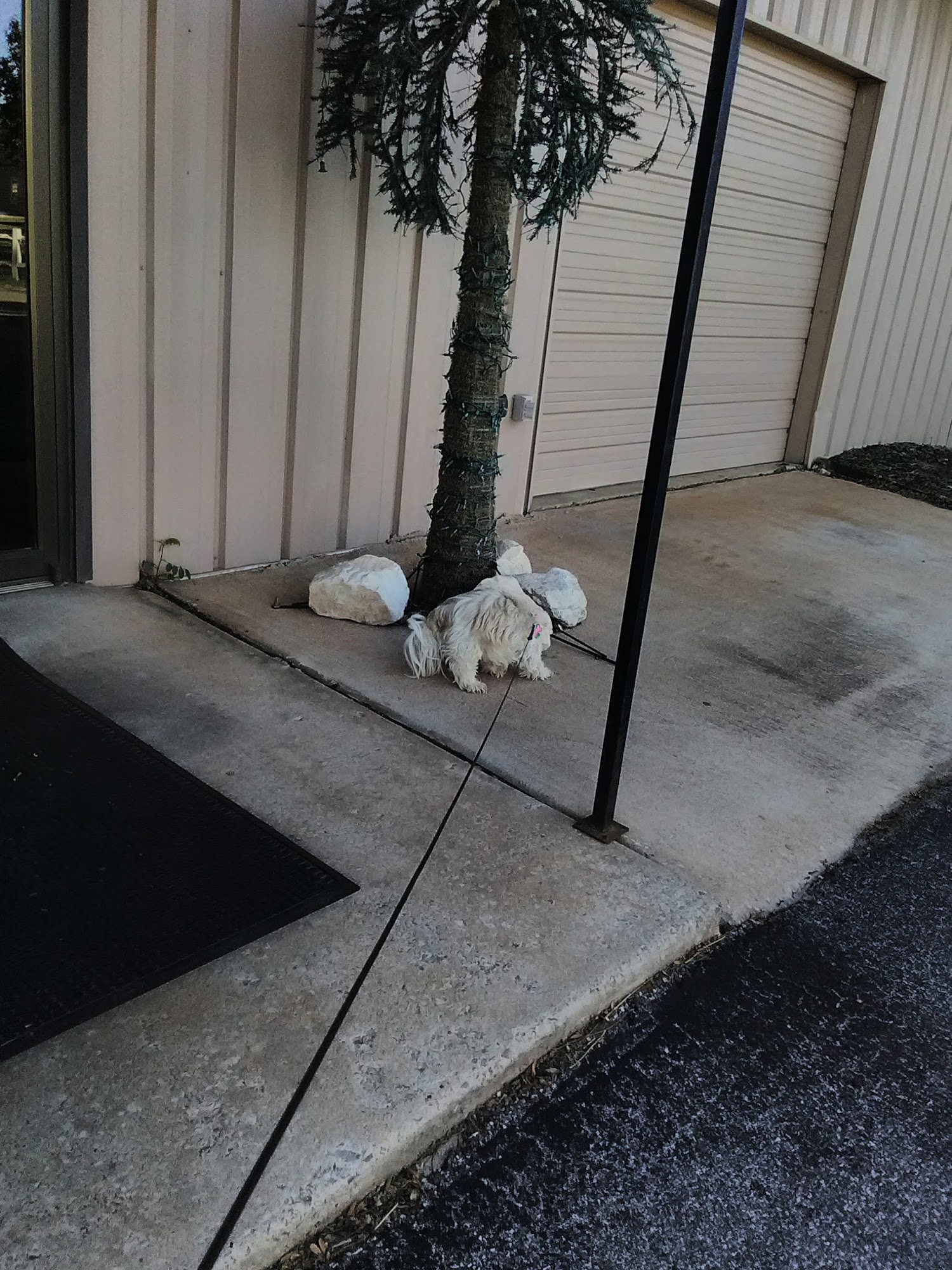 Edmond Pet Resort Edmond