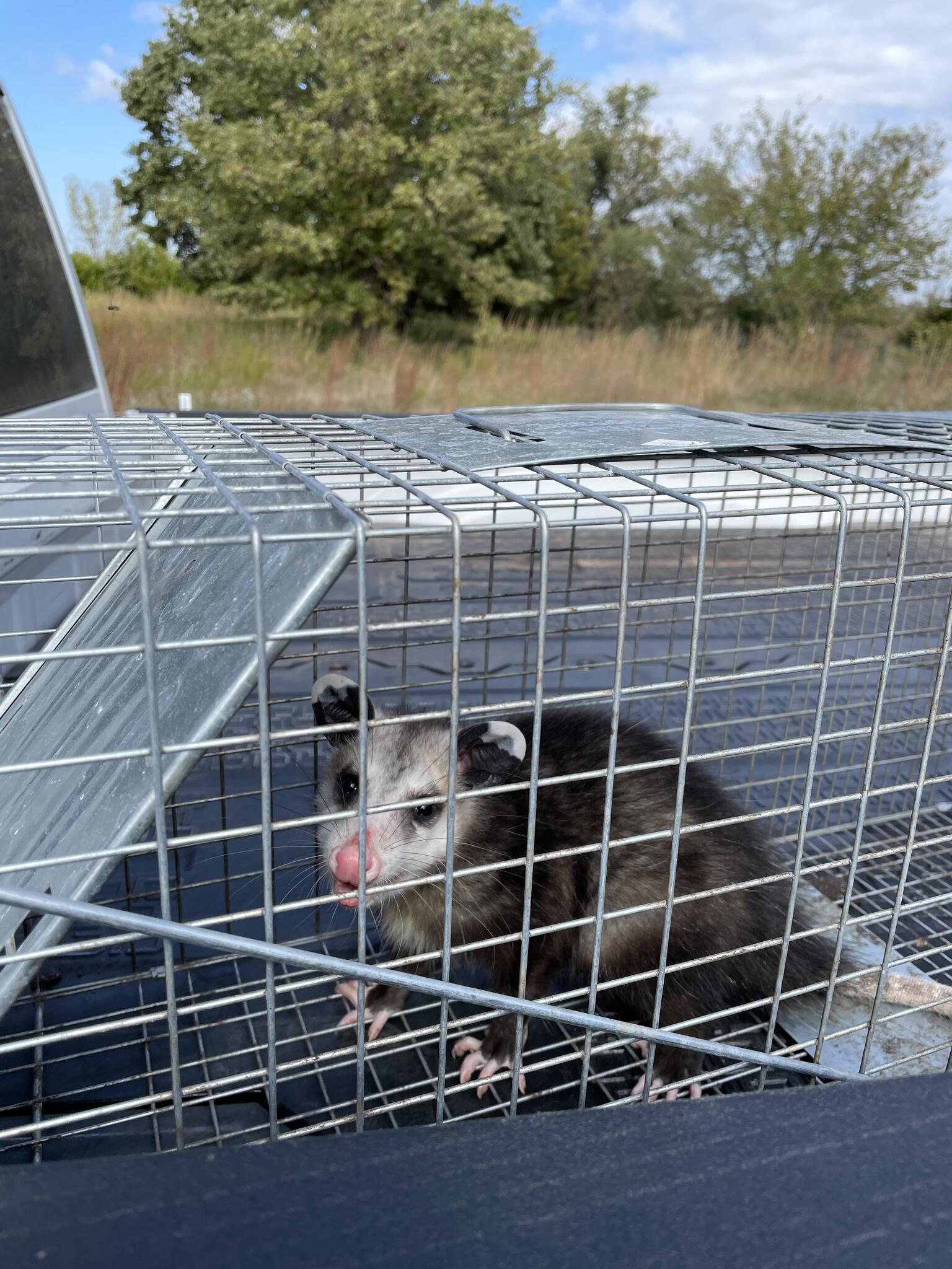 Photo credit: nextdoor