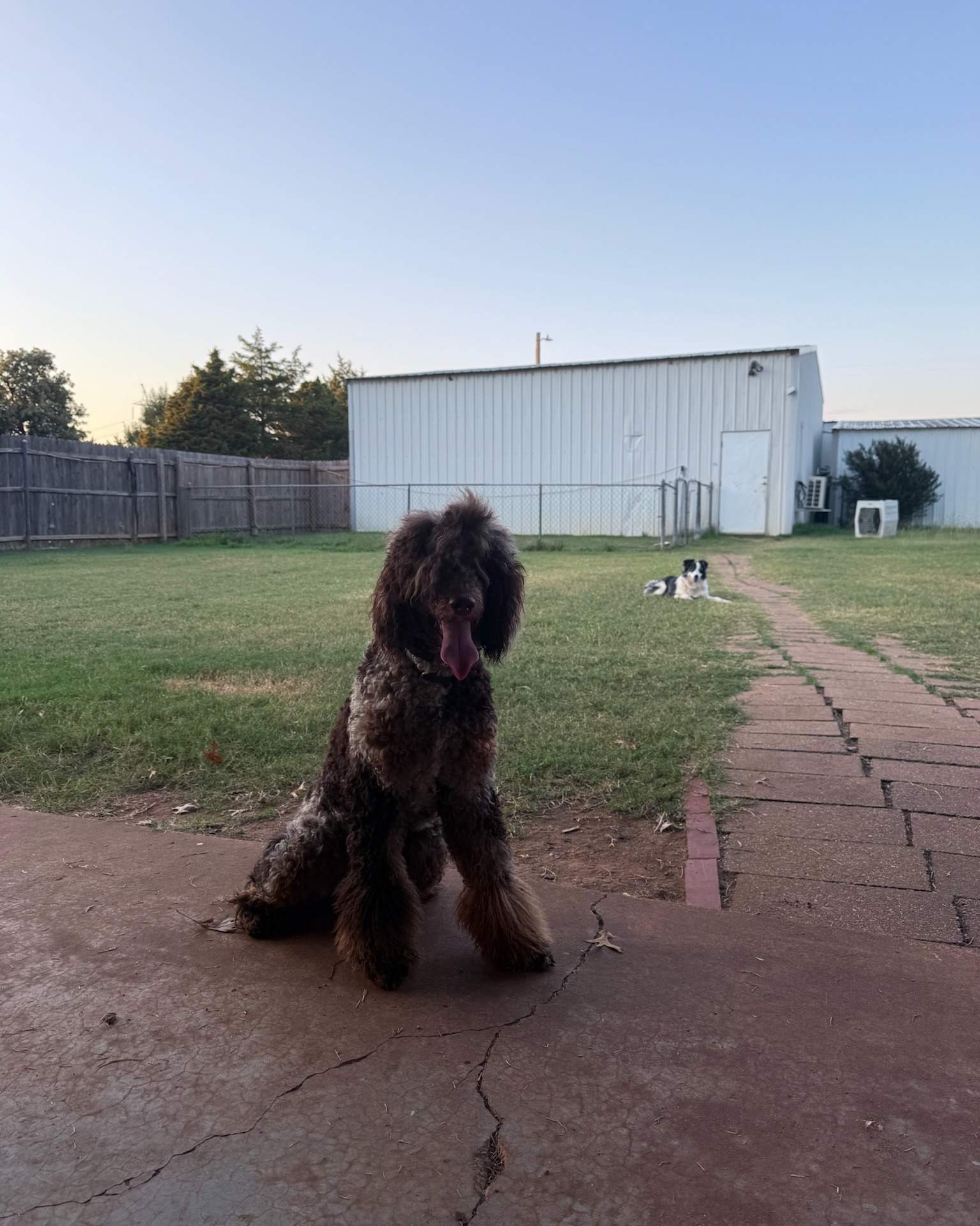 Off Leash K9 Training of Oklahoma Edmond