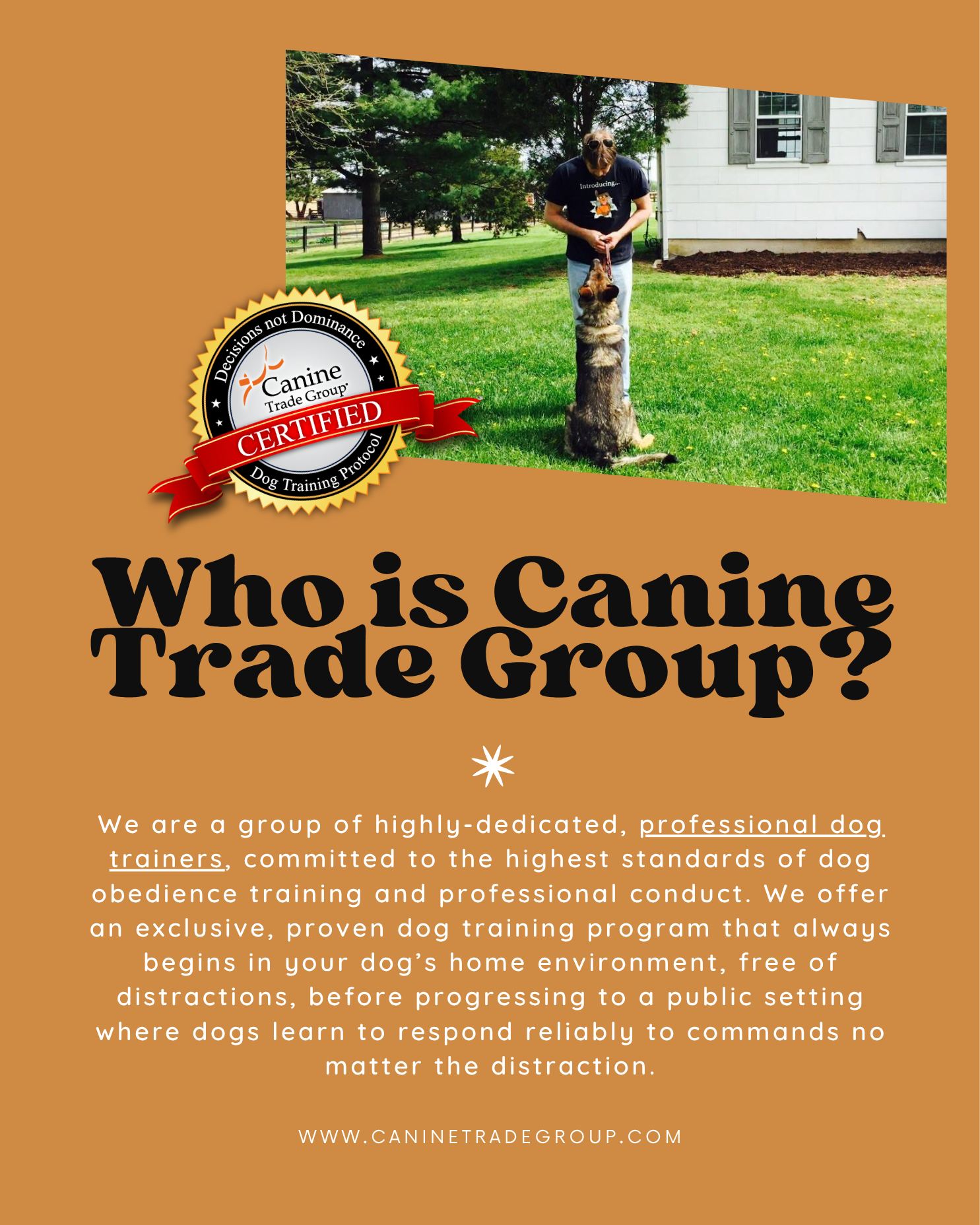 Big Friendly Dog Training Edmond