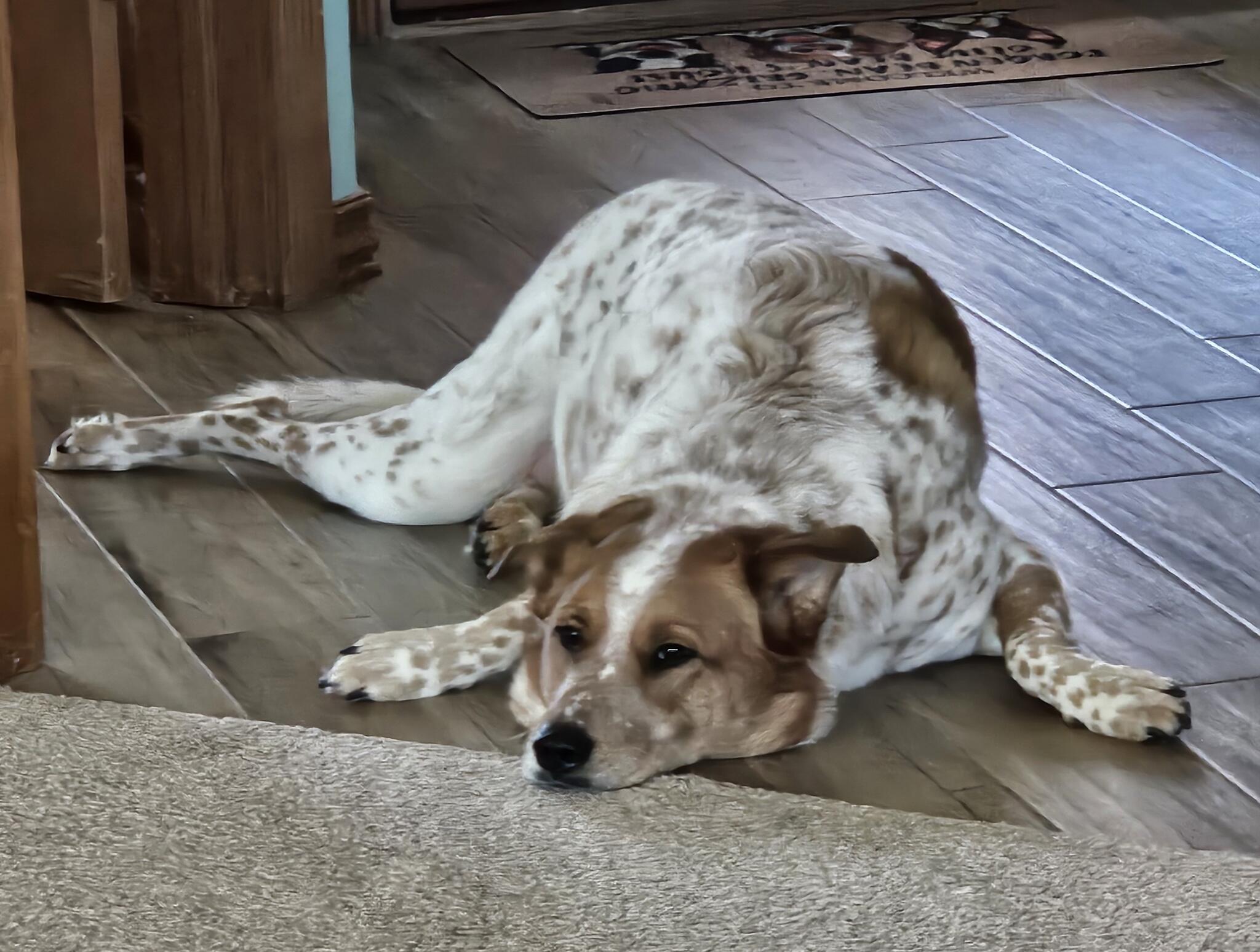 Photo credit: nextdoor