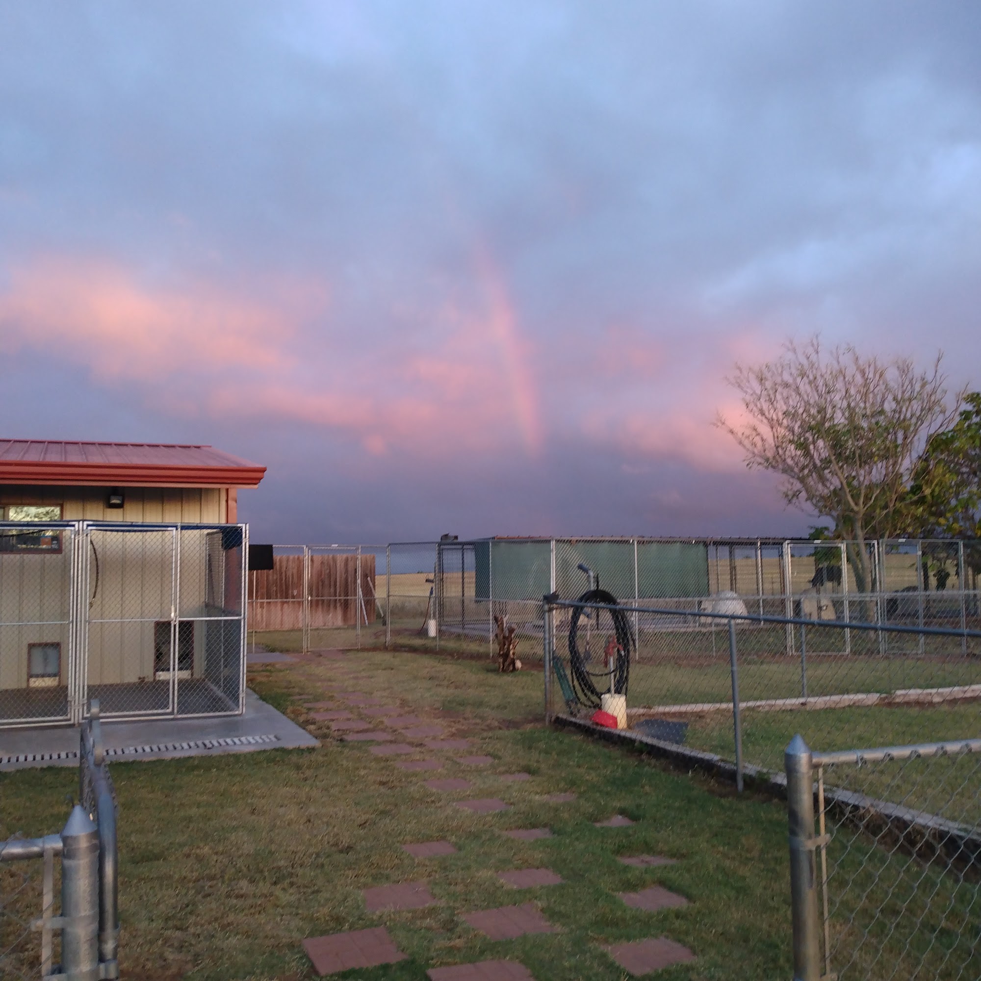 Waggin Tails Animal Rescue Elk City