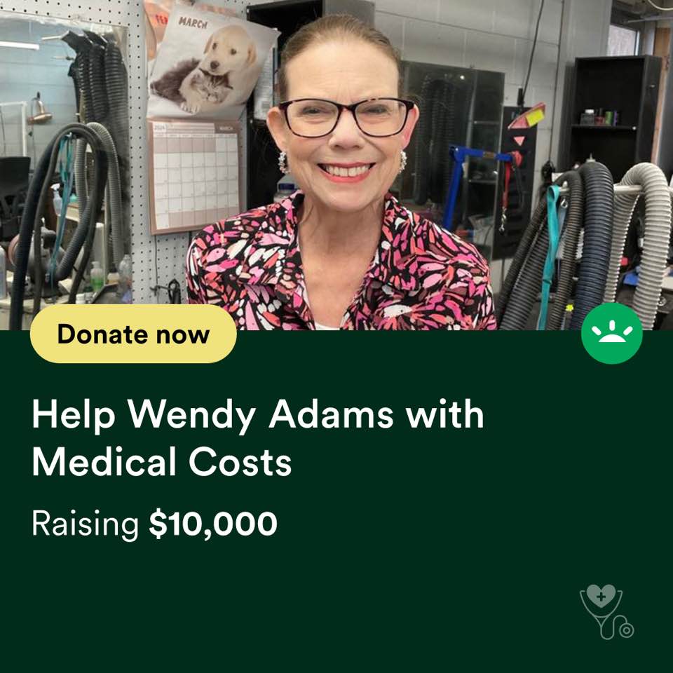 The Brass Poodle Enid