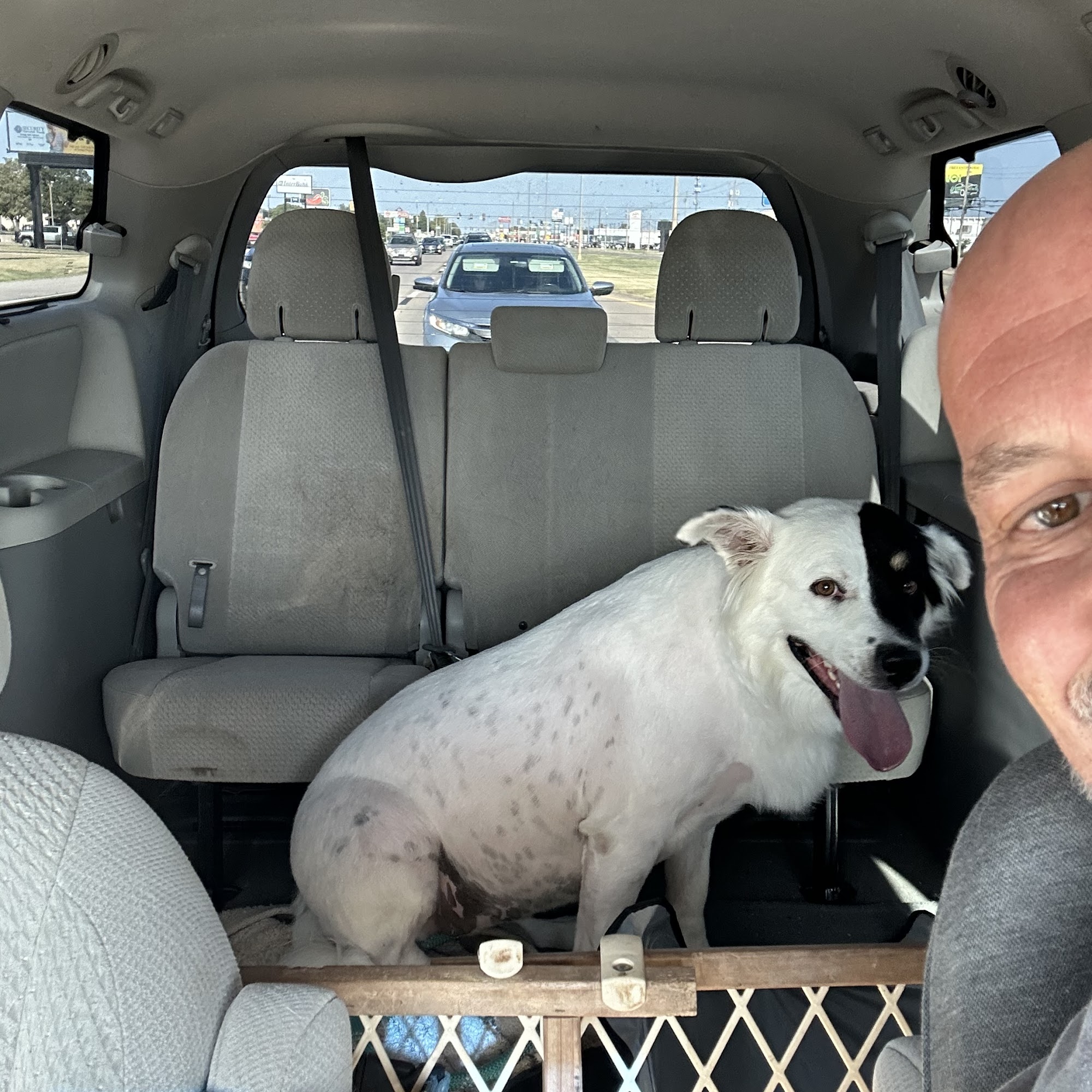 PetSmart Grooming Enid