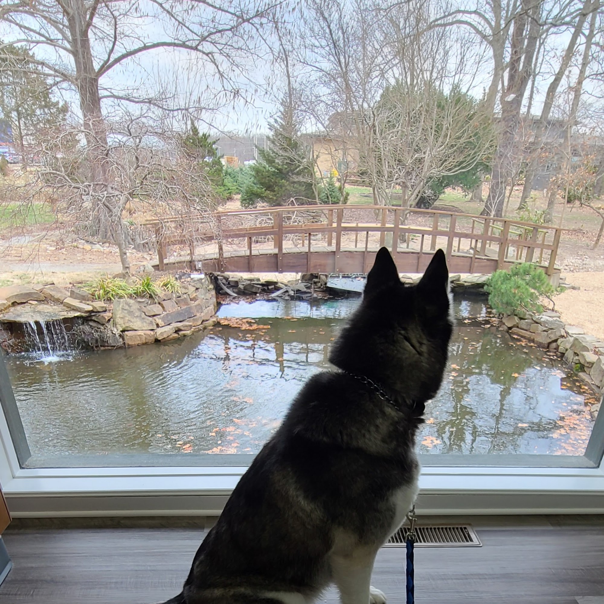 Grant Veterinary Clinic Grove