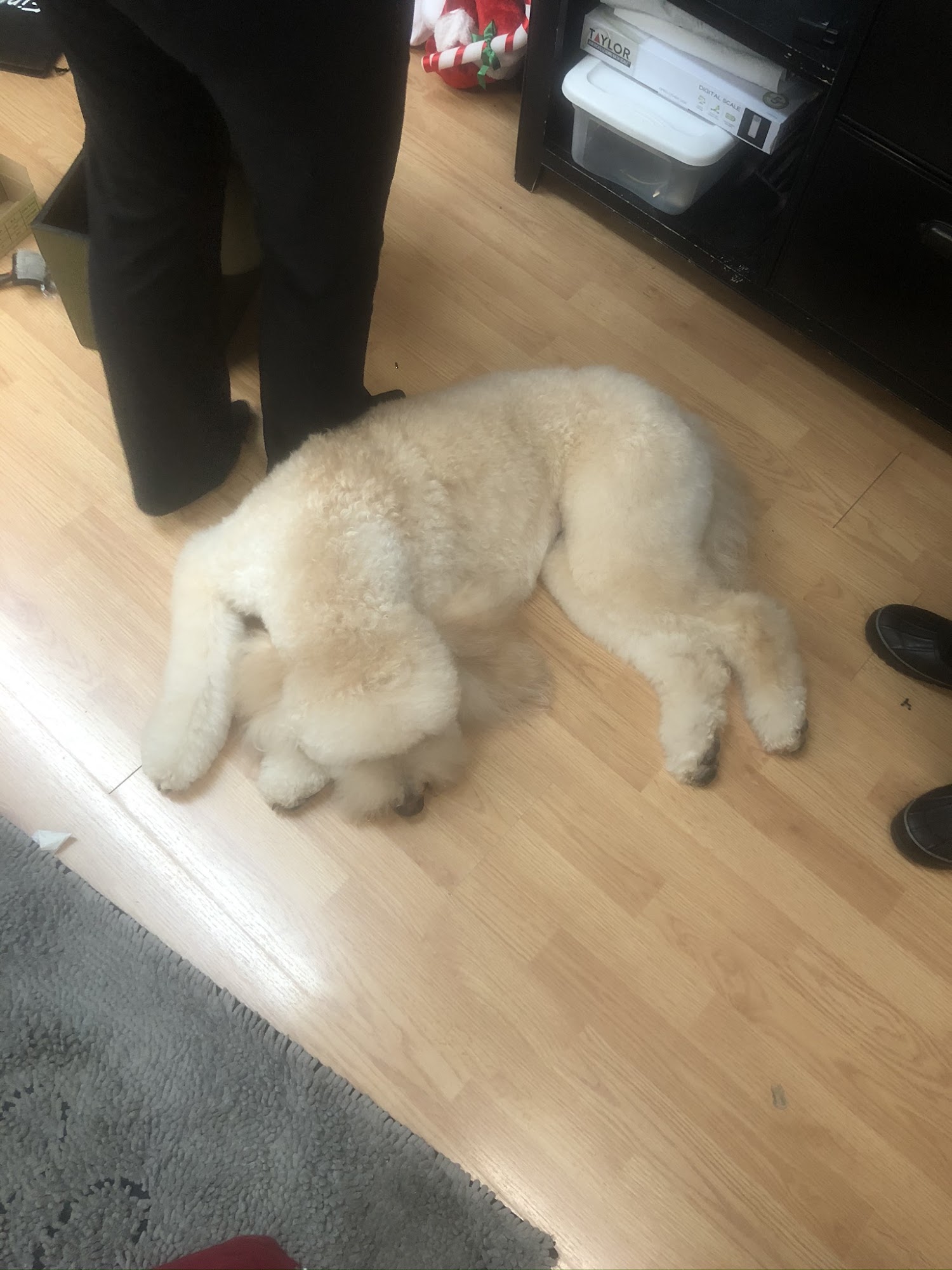 Grand Groomers Grove