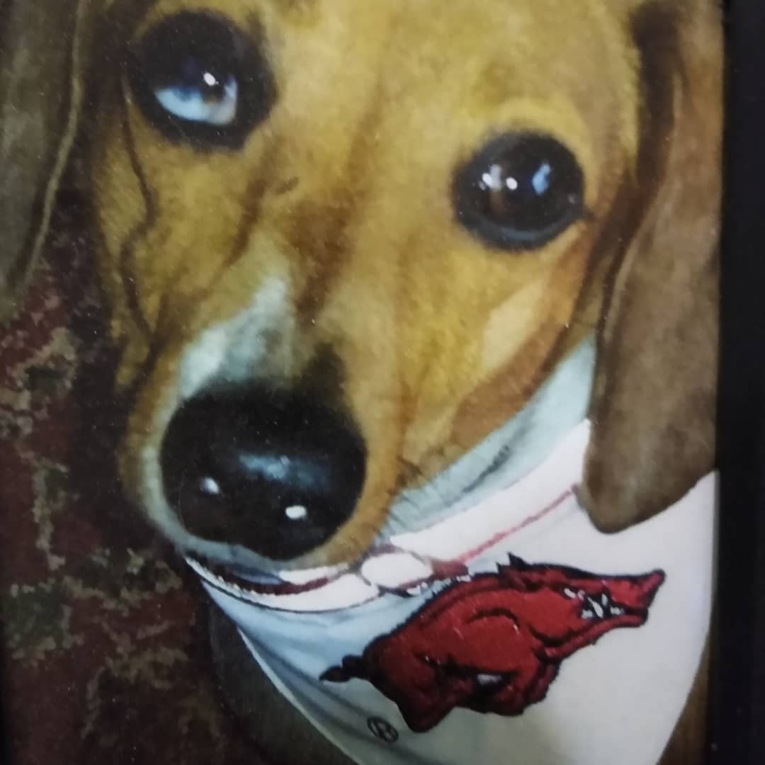 Panhandle Veterinary Clinic Guymon