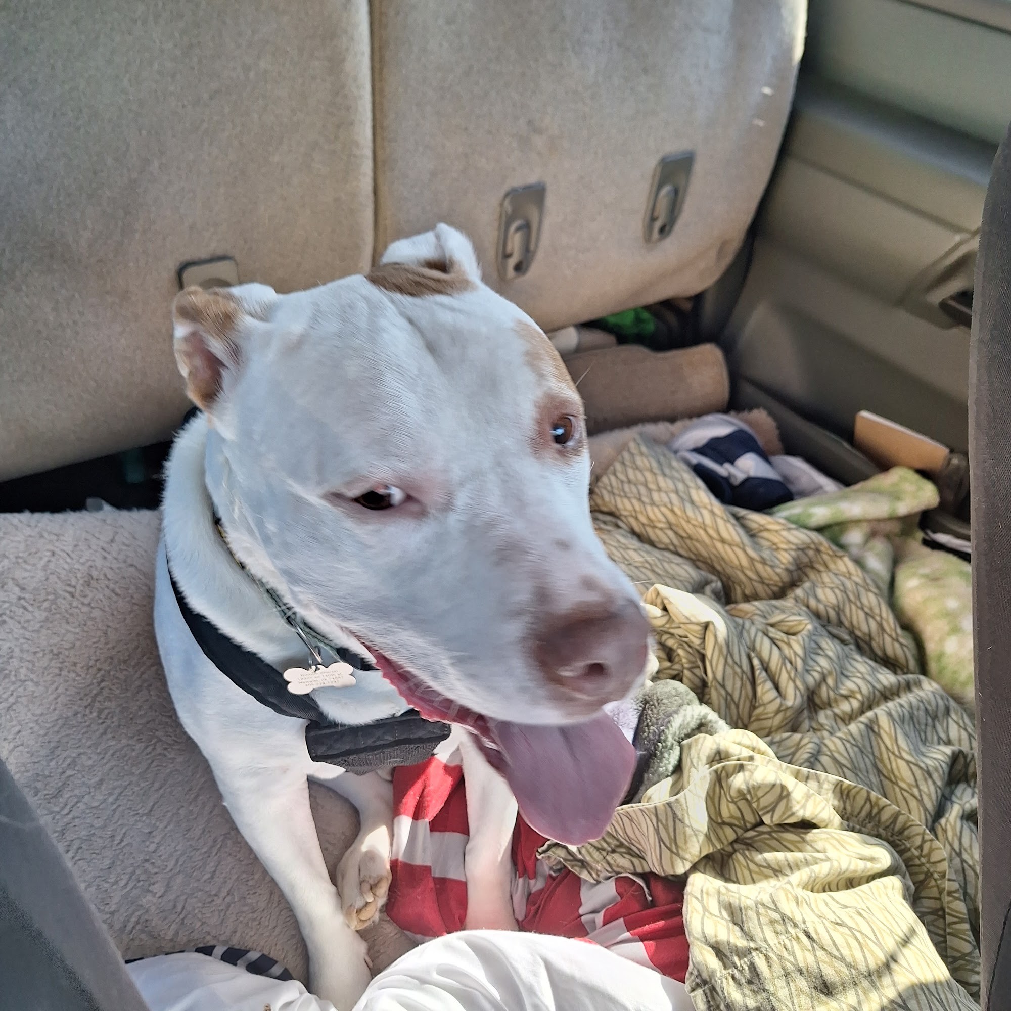 Deercreek Animal Hospital Harrah