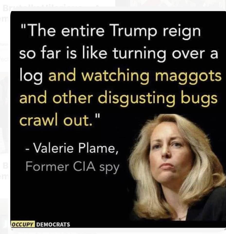 Puppy Paws Grooming Harrah