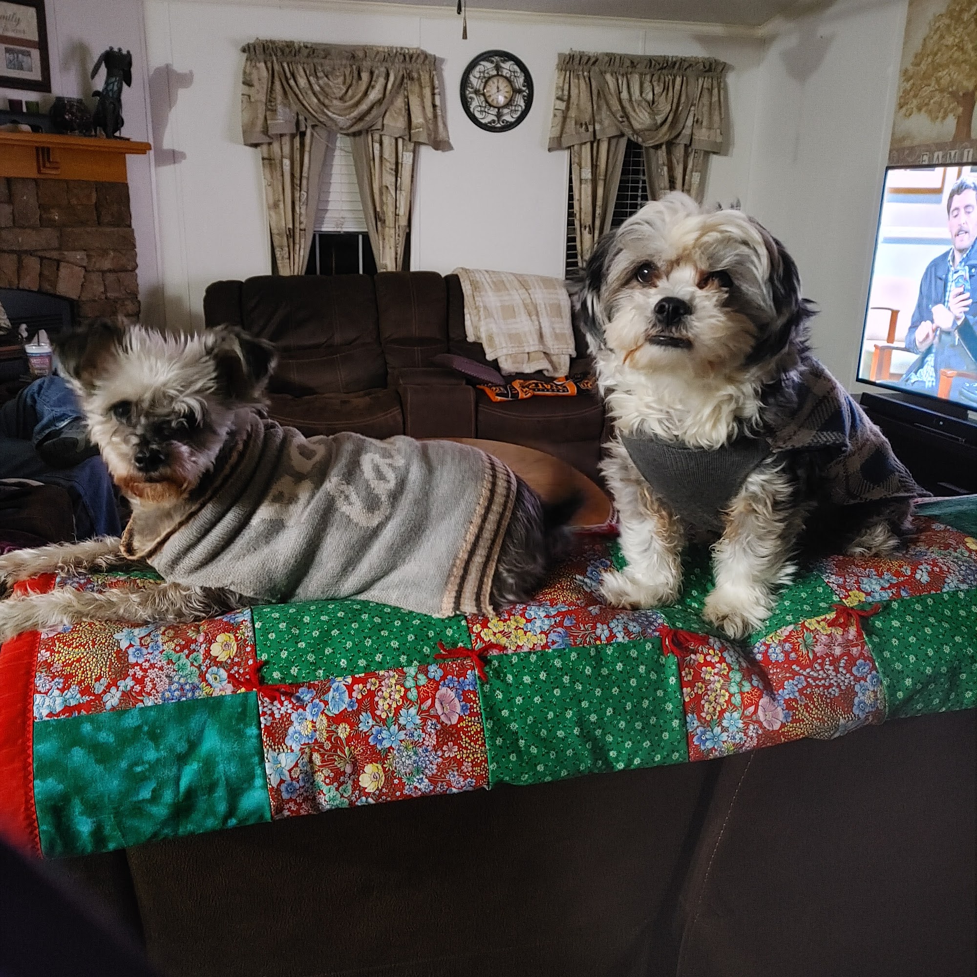 Town & Country Animal Hospital Henryetta